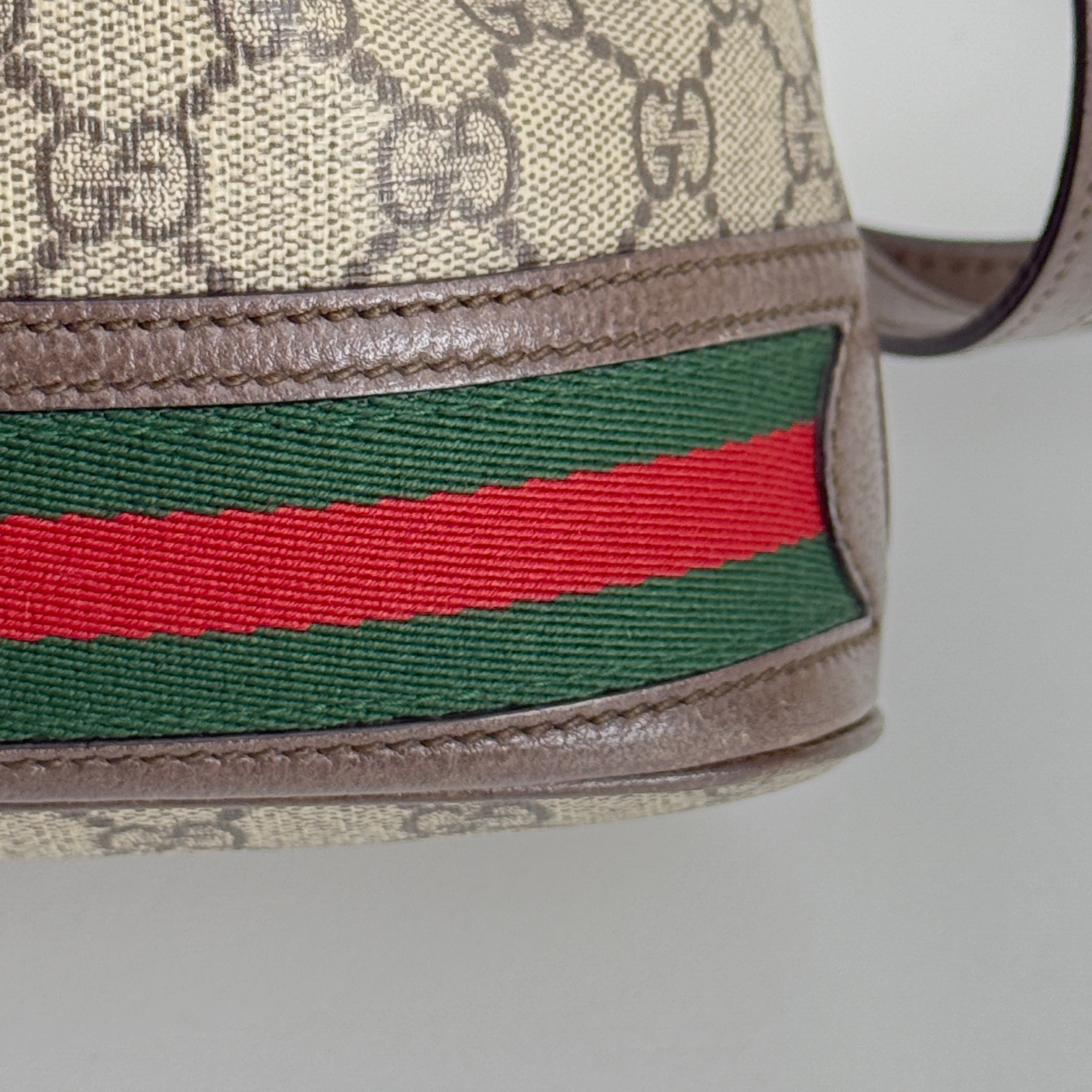 Small Ophidia Bucket Bag