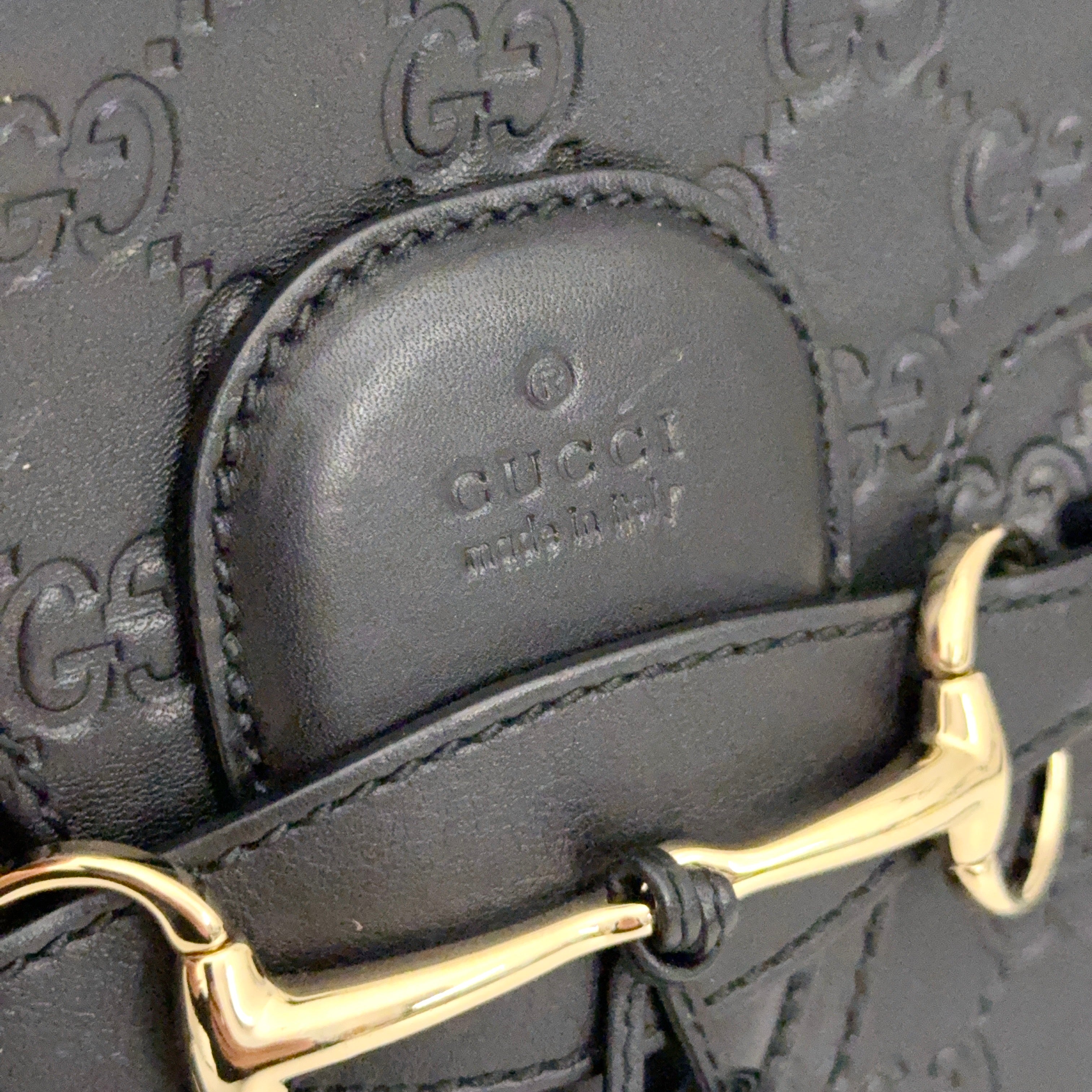 Large Guccissima Emily Chain Bag