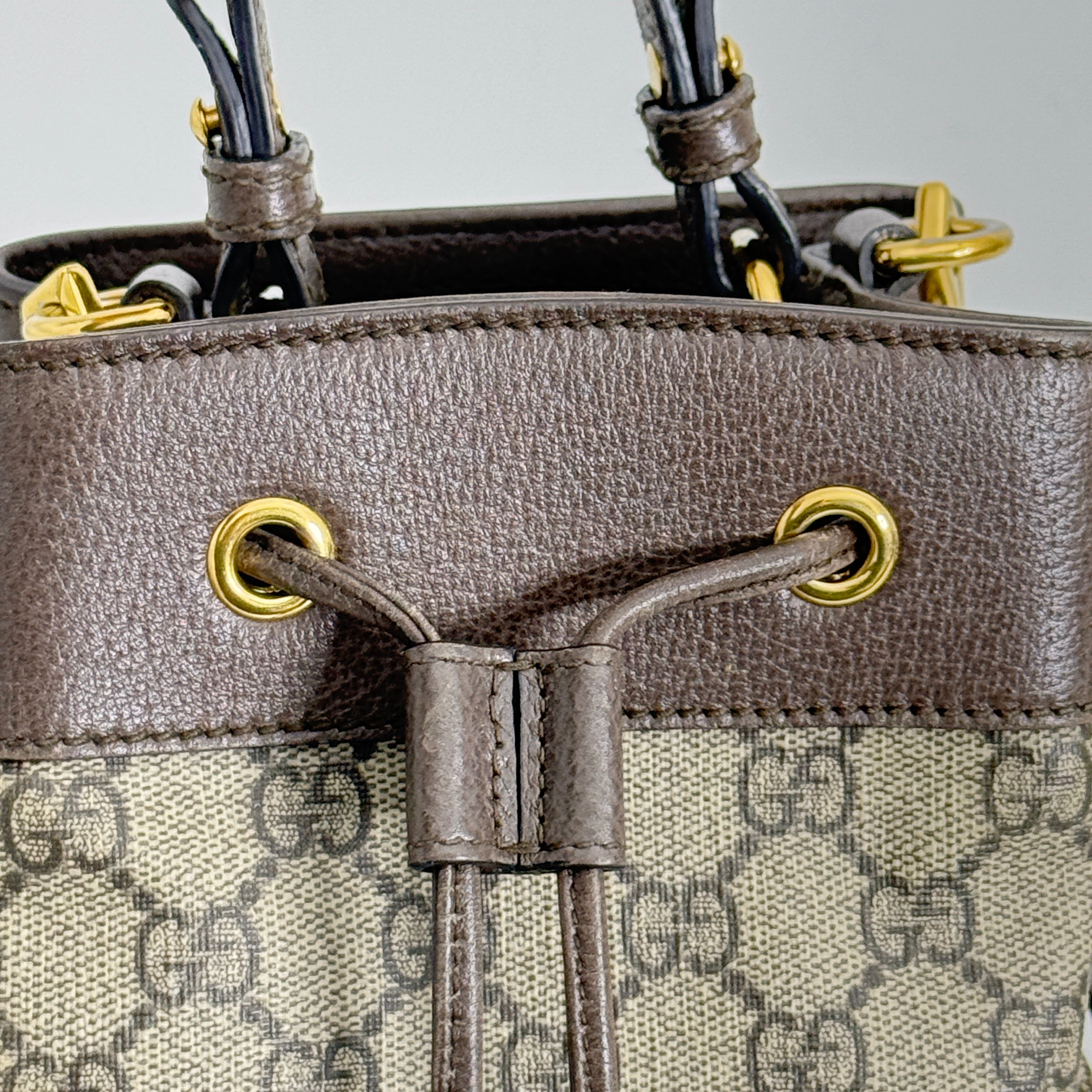 Small Ophidia Bucket Bag