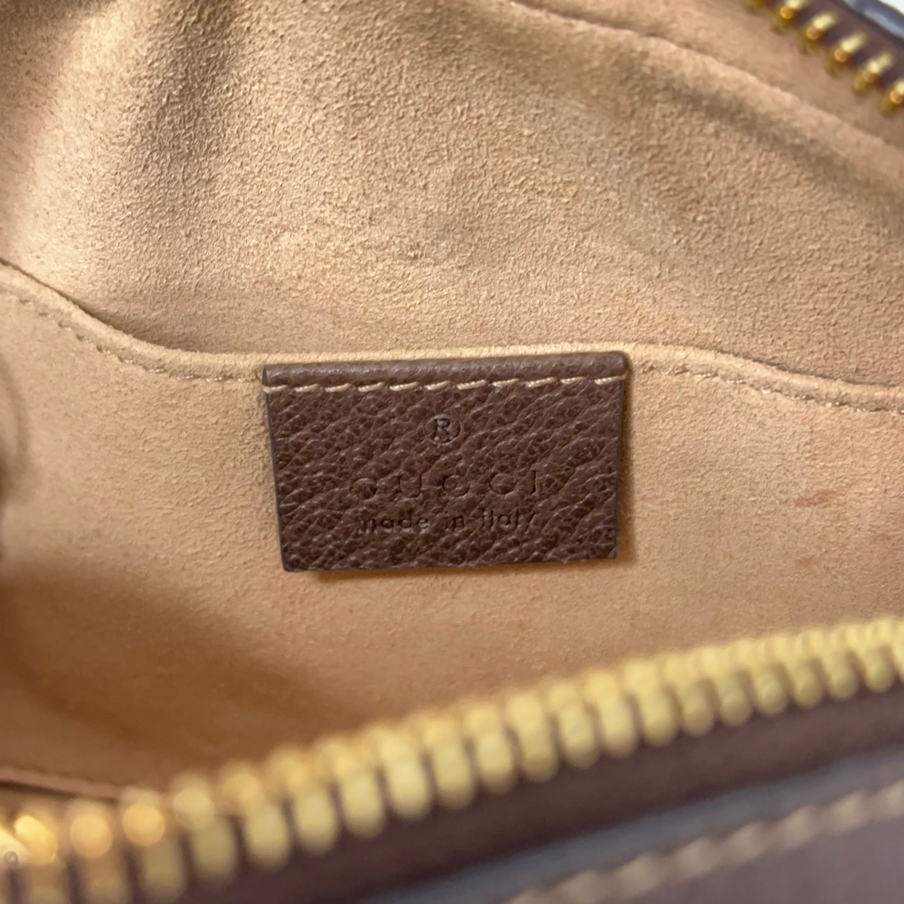 Mini Ophidia Shoulder Bag