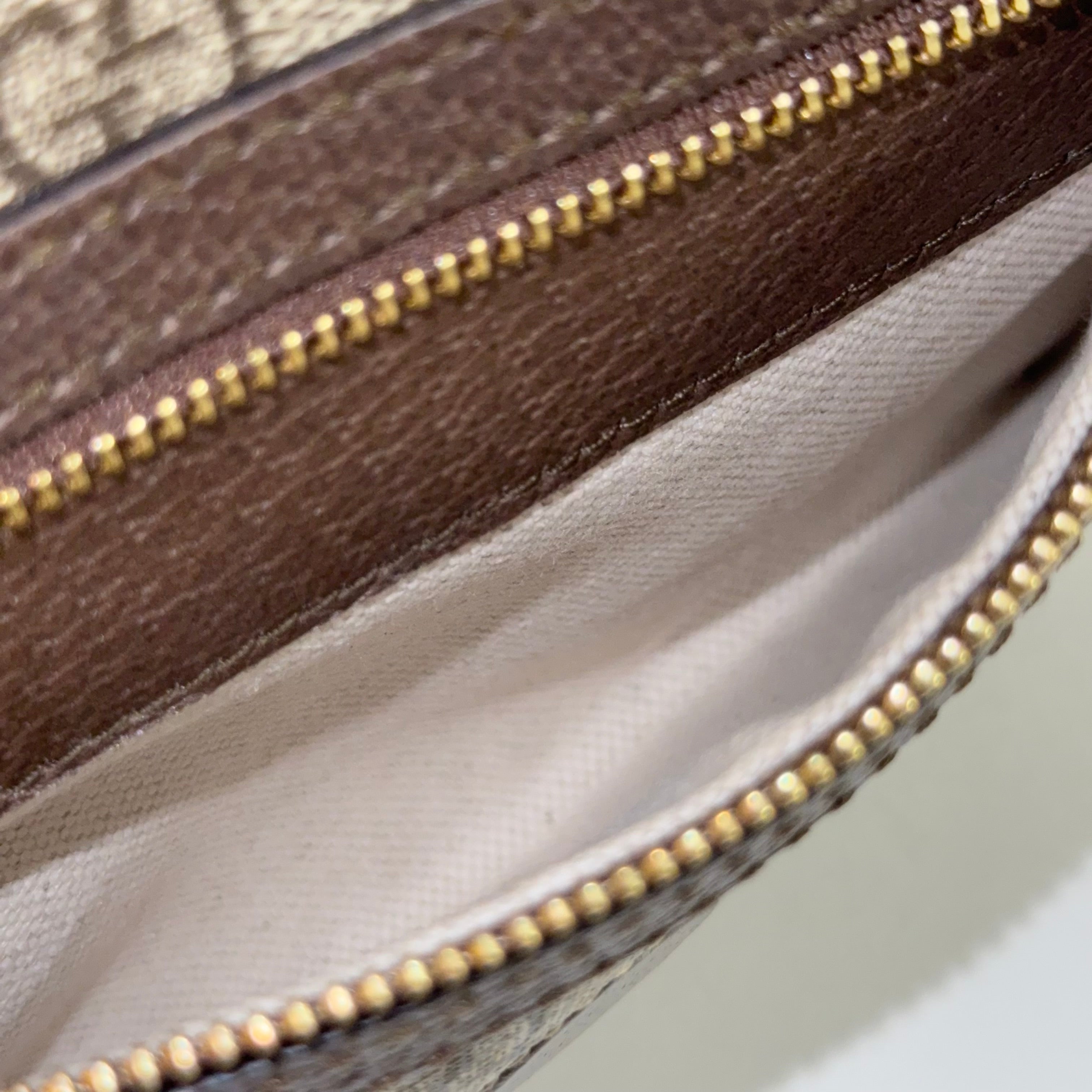 Small Ophidia Shoulder Bag