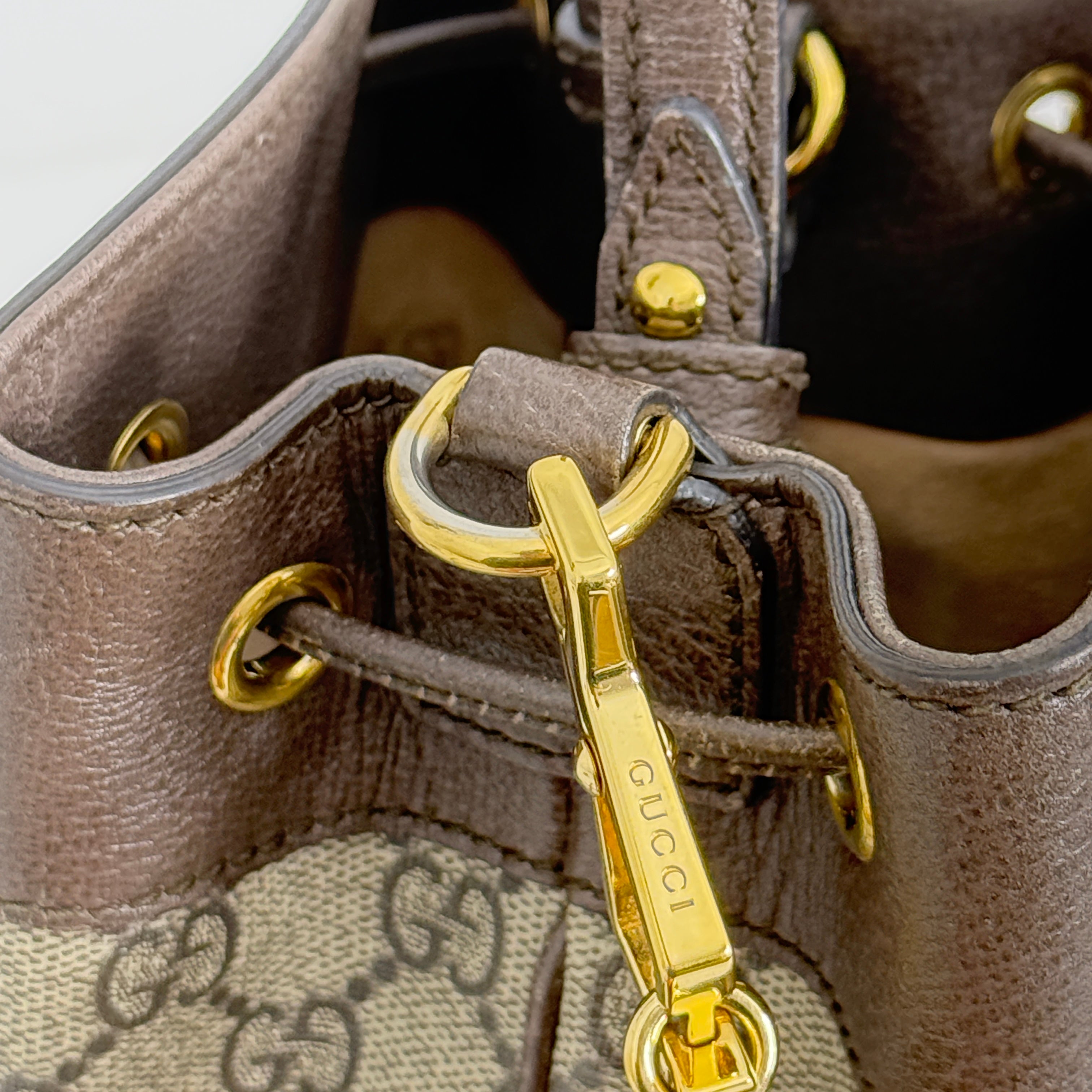 Small Ophidia Bucket Bag