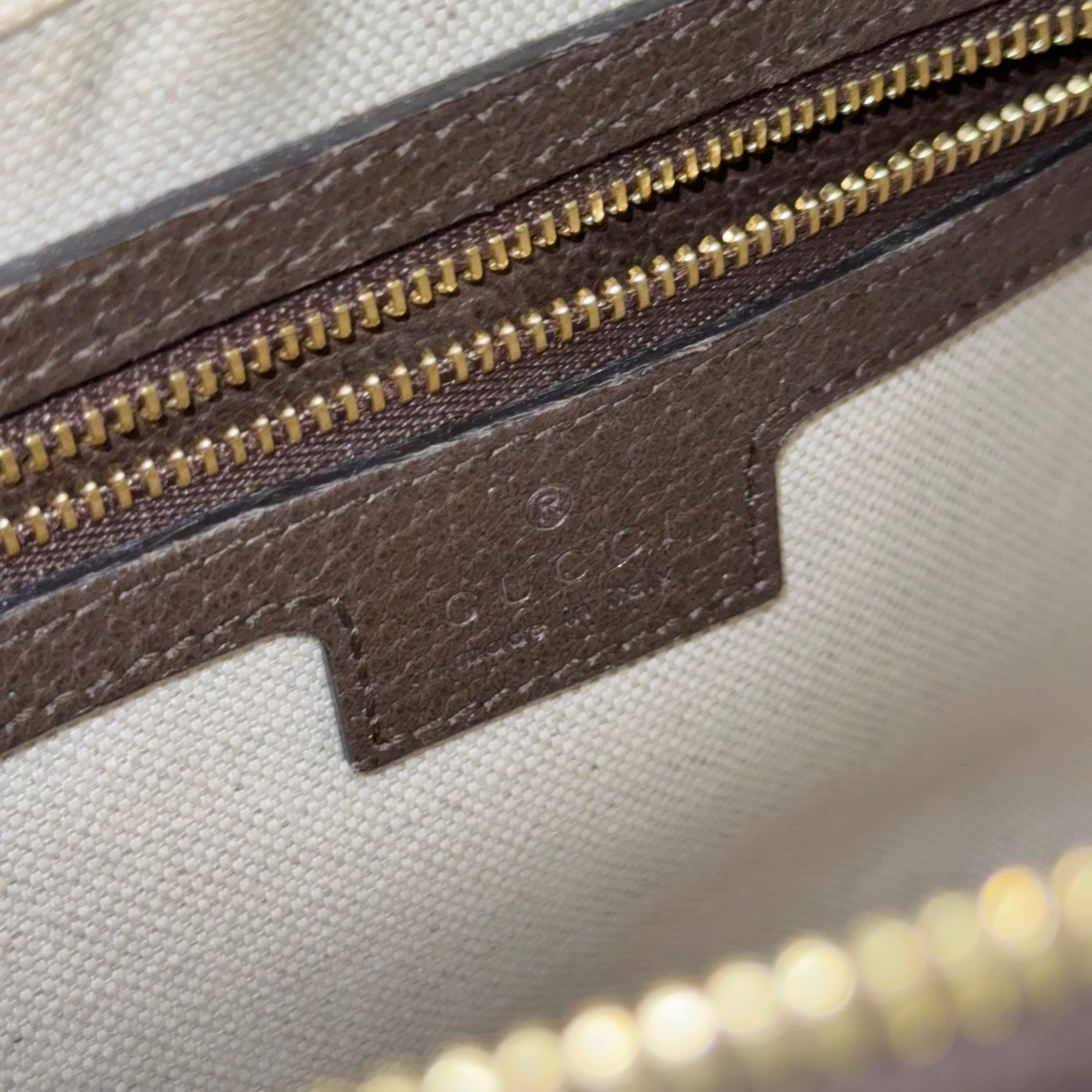 Small Ophidia Shoulder Bag