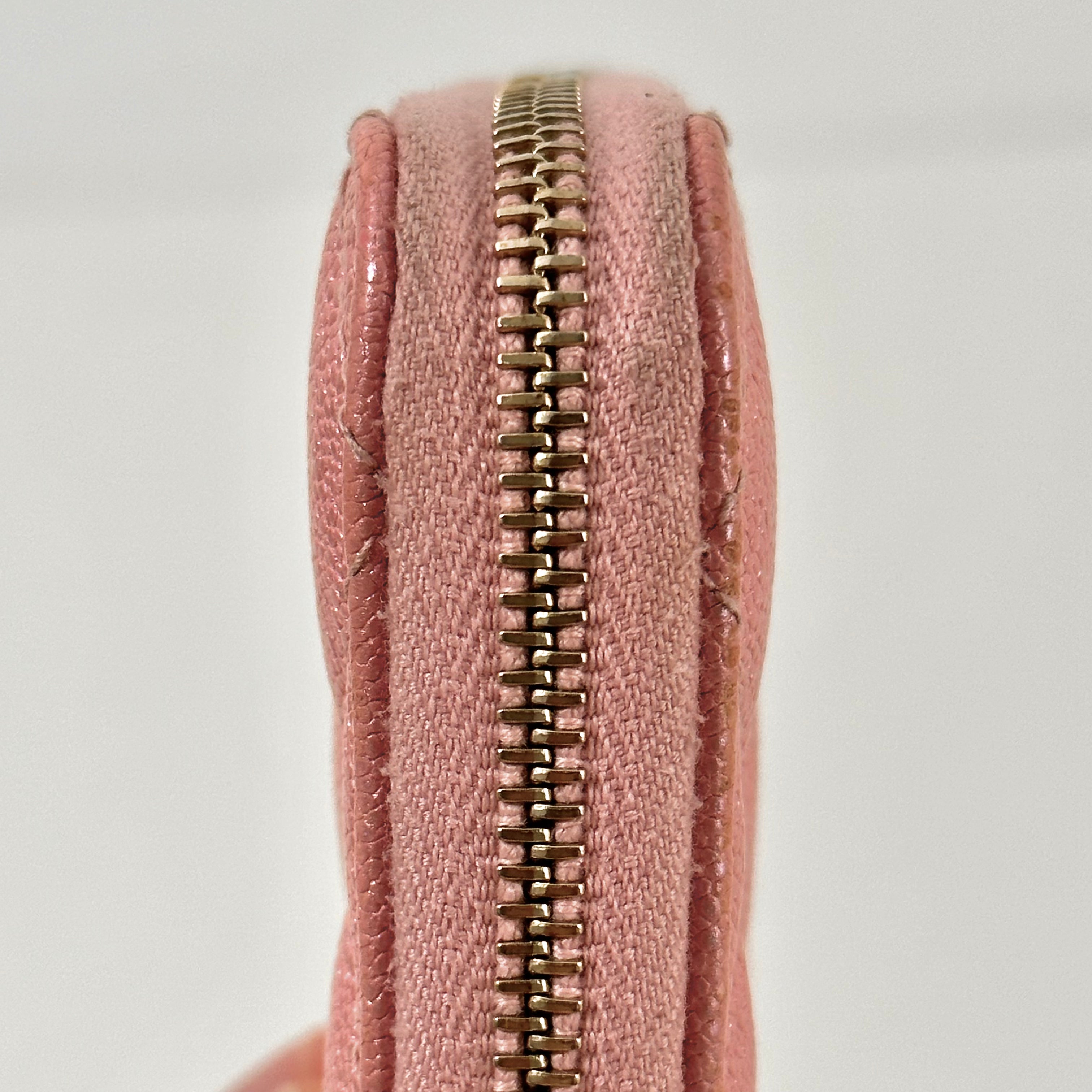 Iridescent Caviar Medium Zip Around Wallet