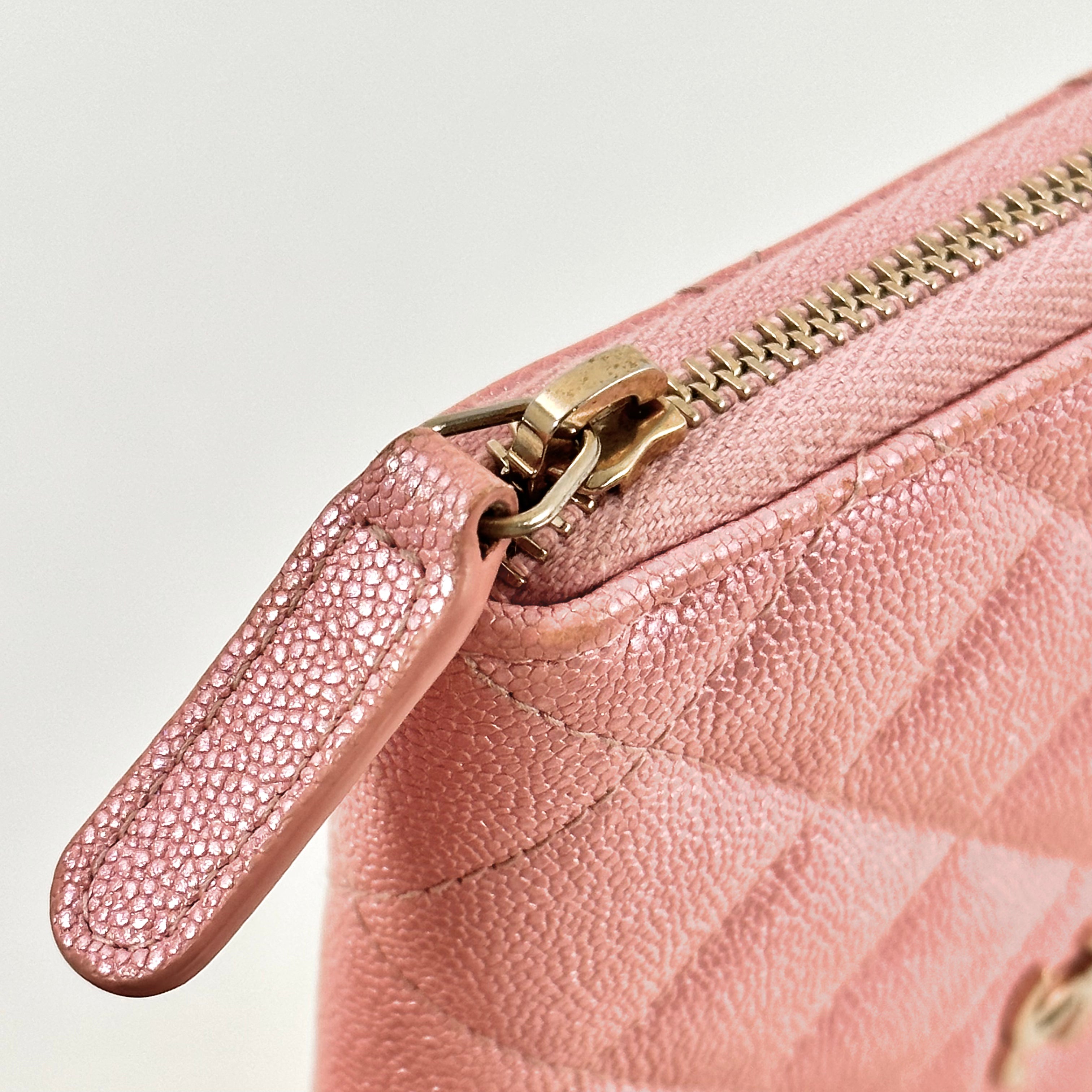 Iridescent Caviar Medium Zip Around Wallet