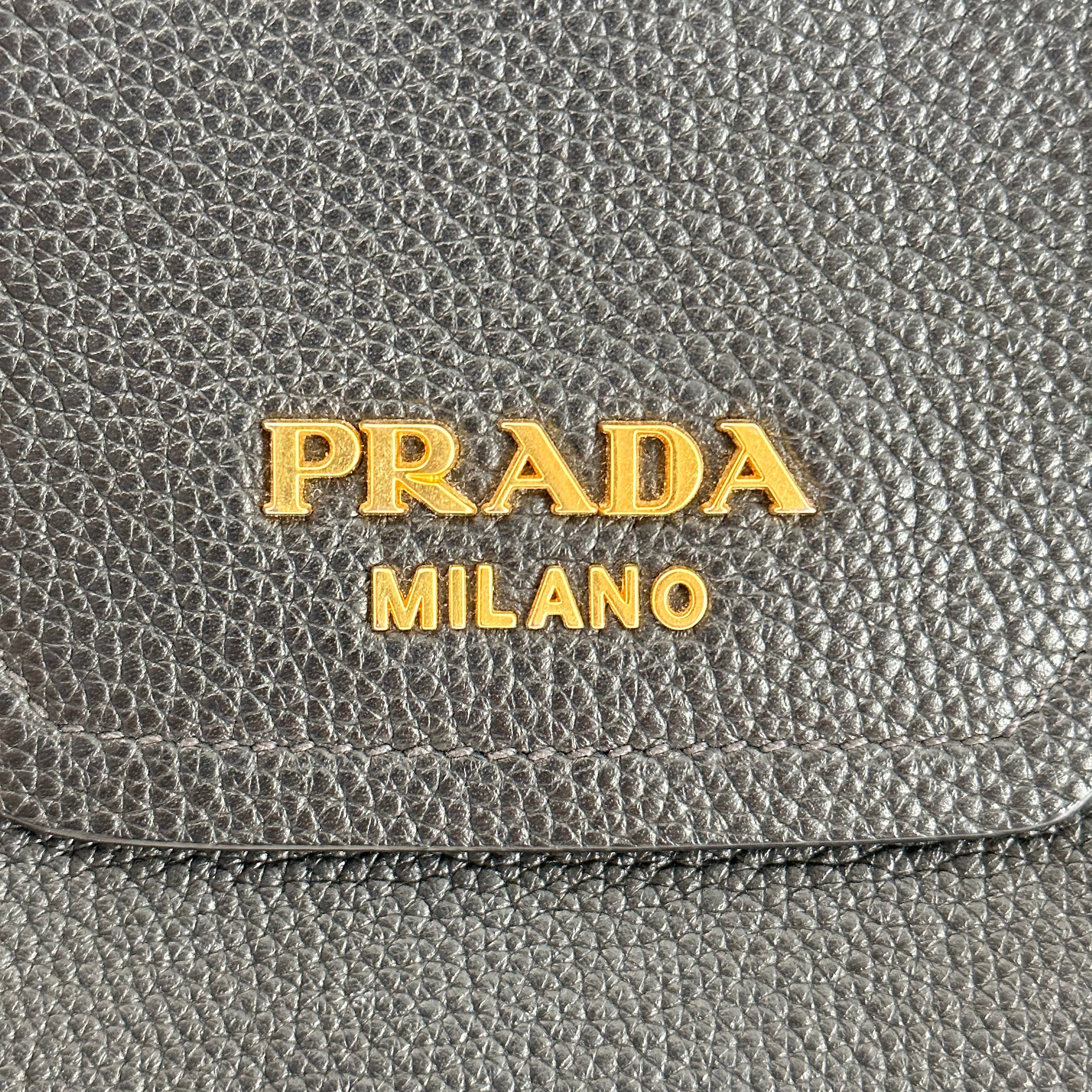 Black Vitello Phoenix Tote Bag