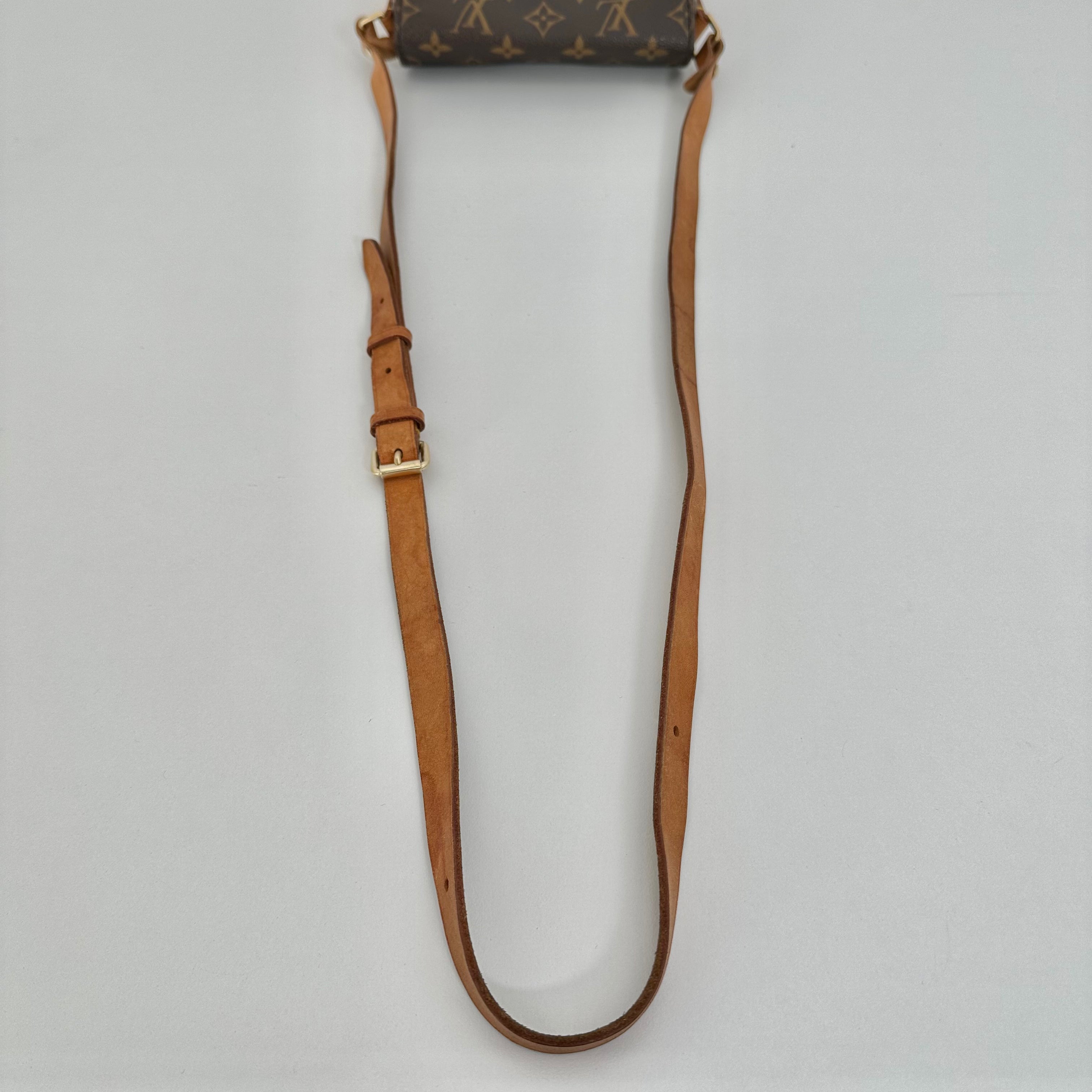 Monogram Cartouchiere Mini