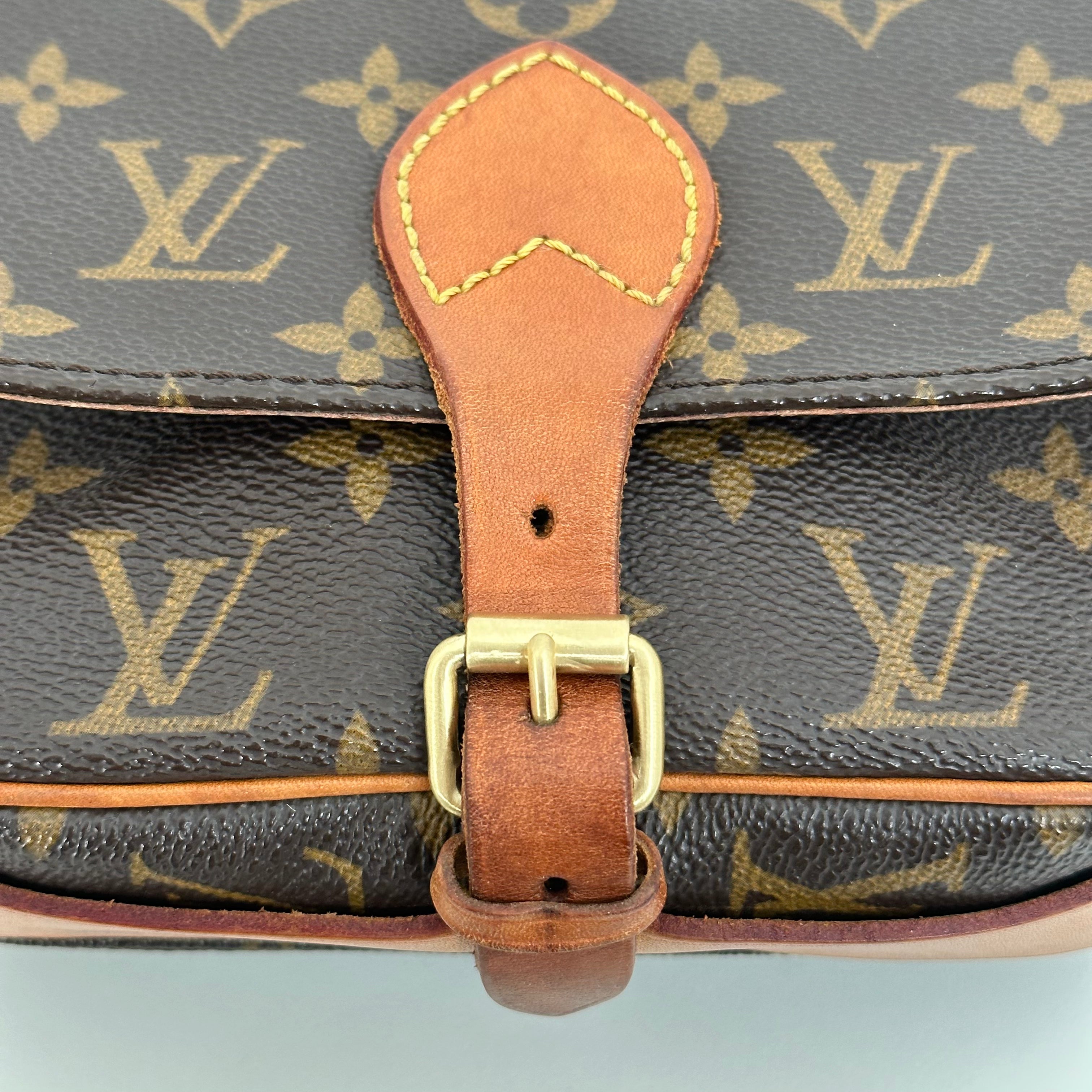 Monogram Cartouchiere Mini