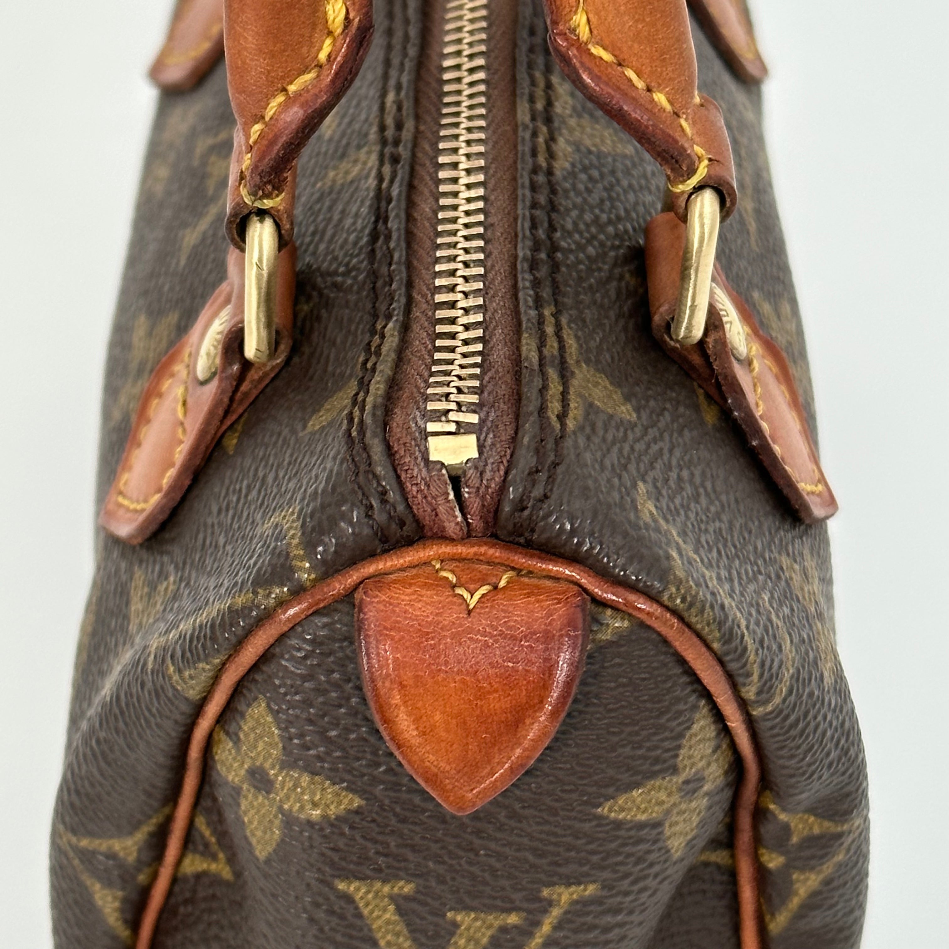 Vintage Monogram Nano Speedy