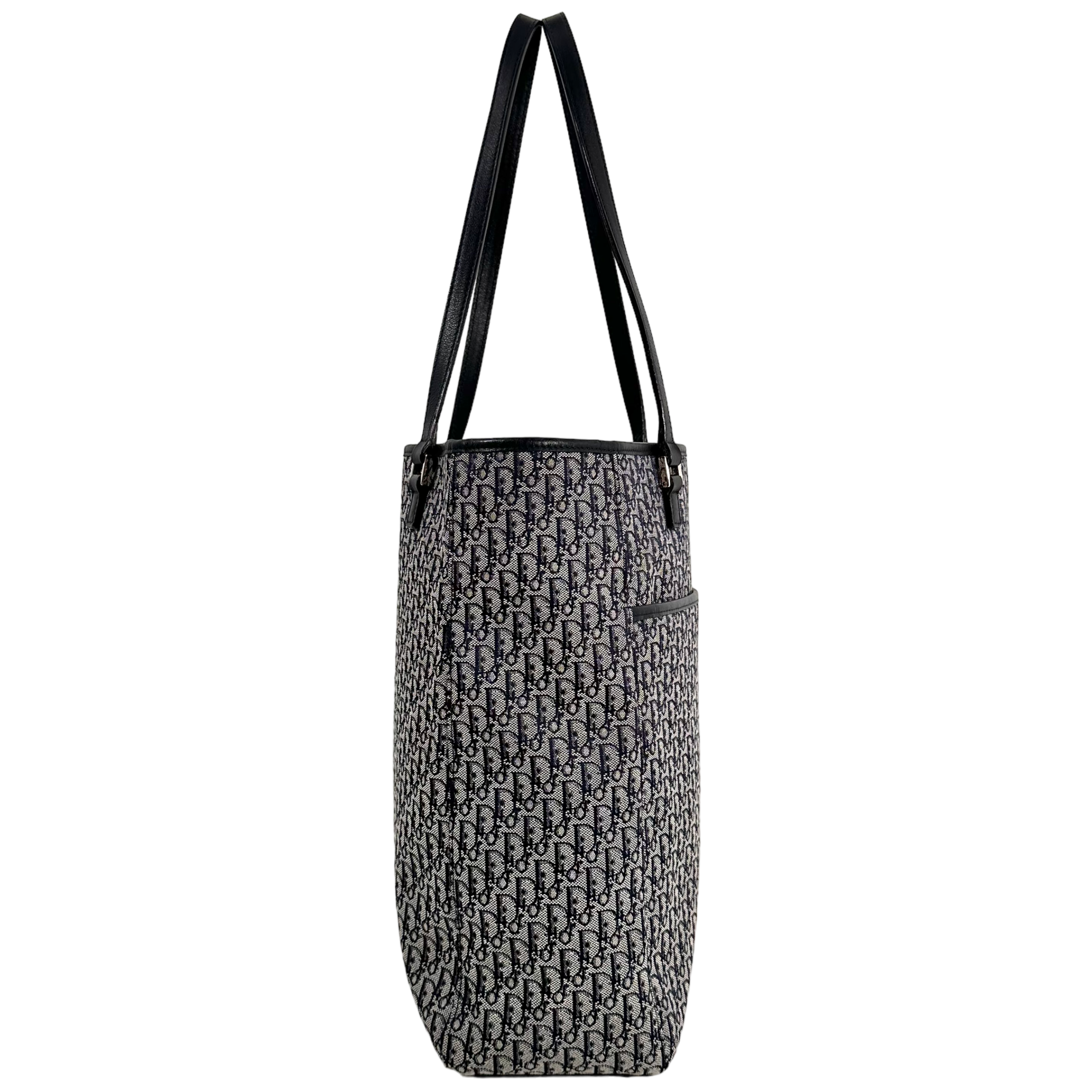 Small Trotter Canvas Tote