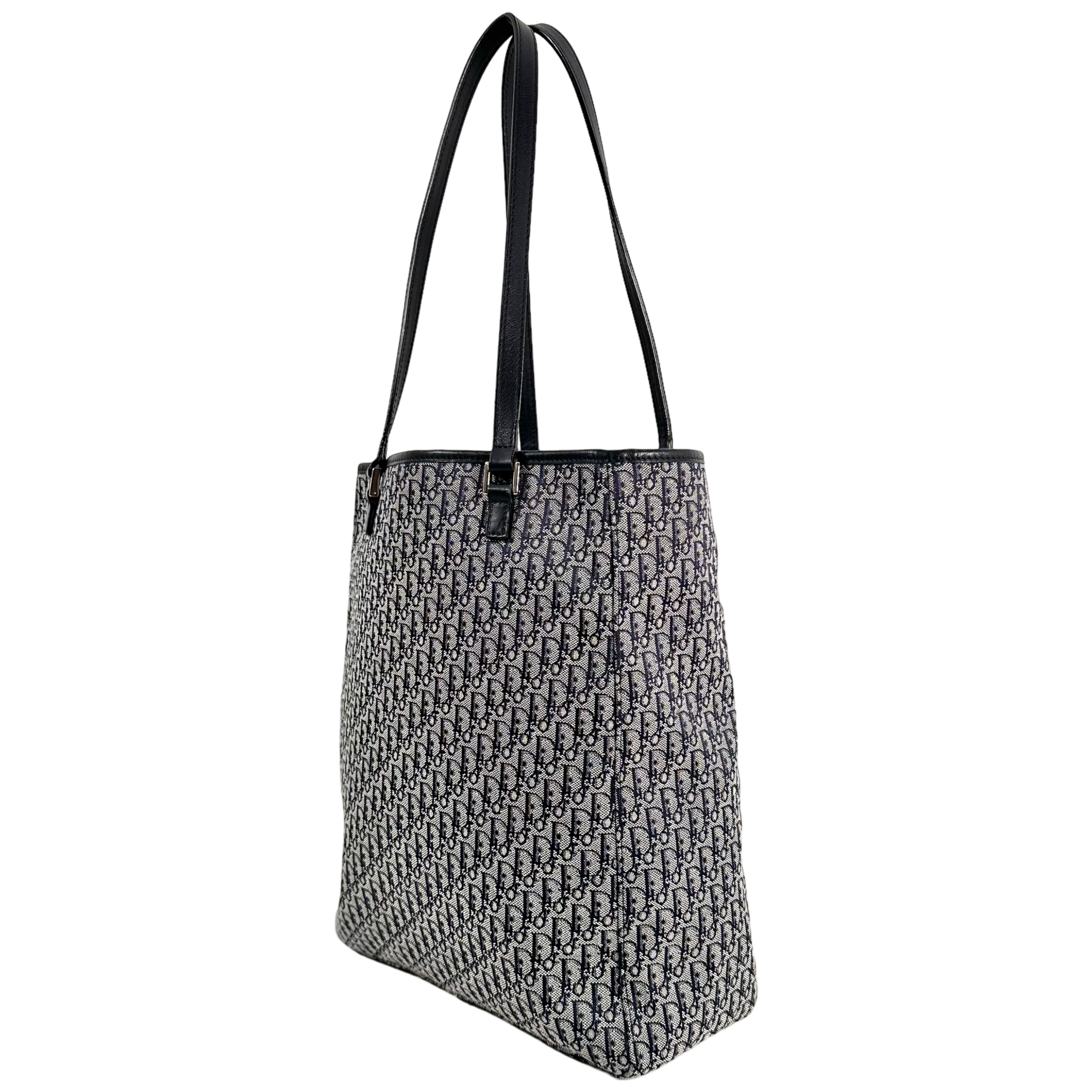 Small Trotter Canvas Tote