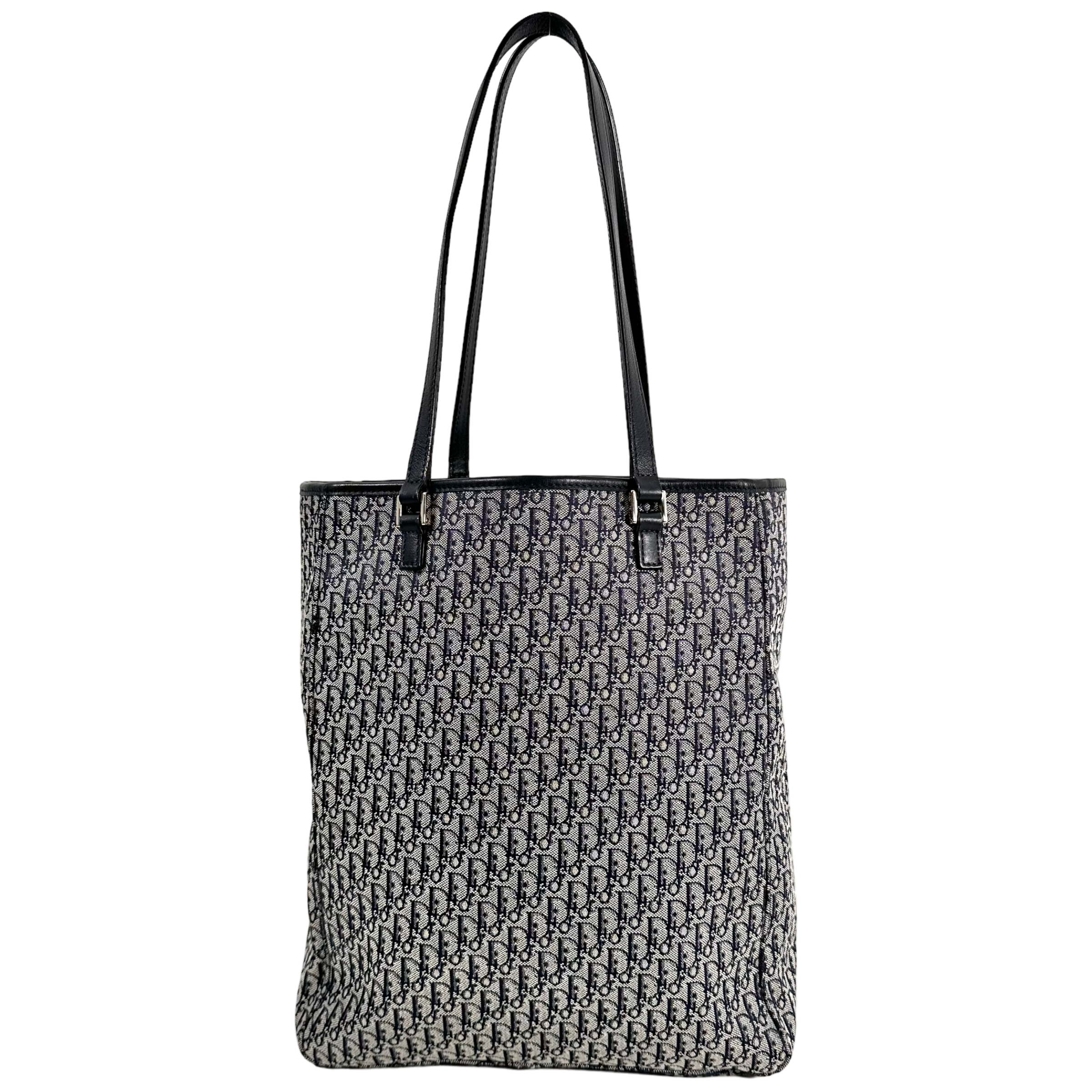 Small Trotter Canvas Tote