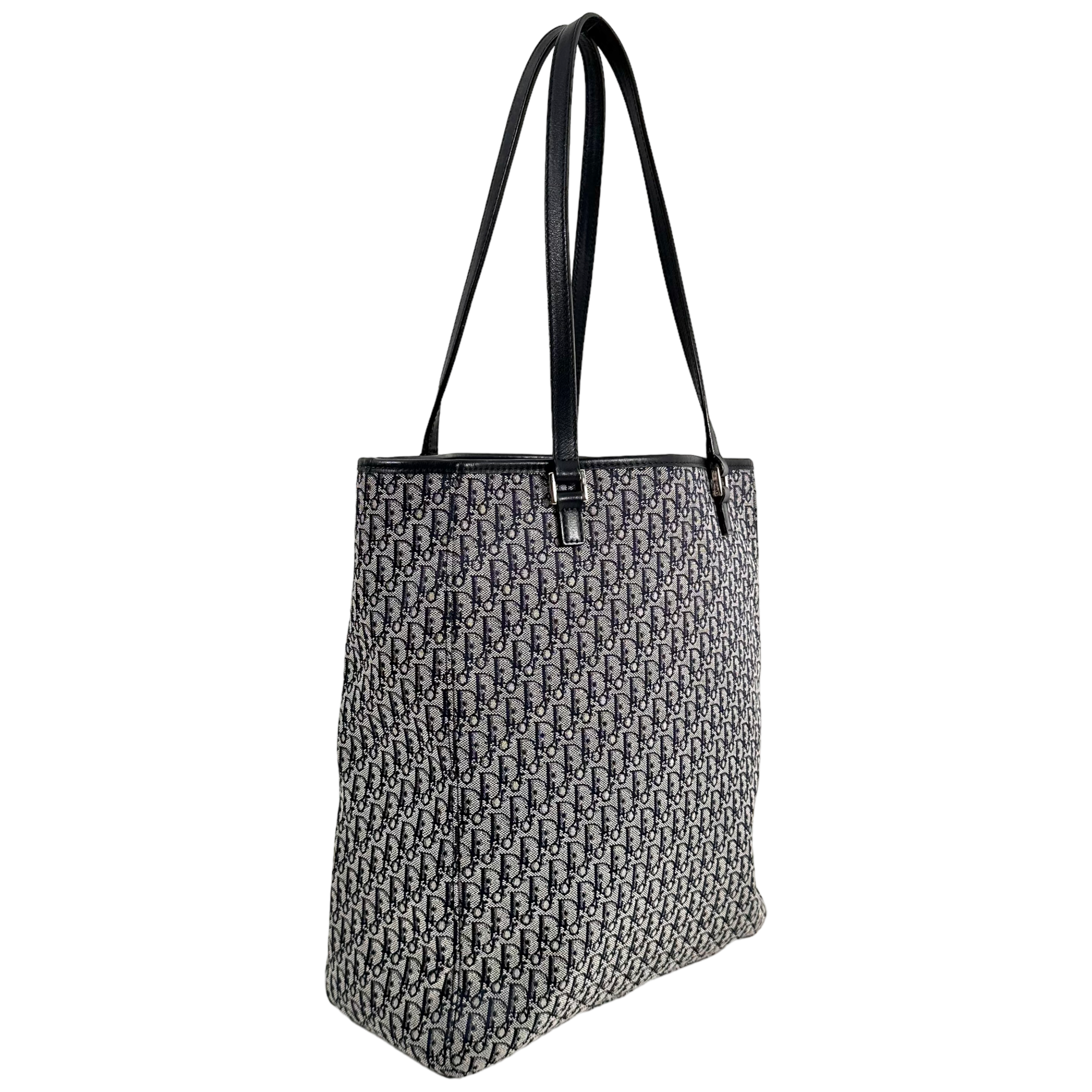 Small Trotter Canvas Tote