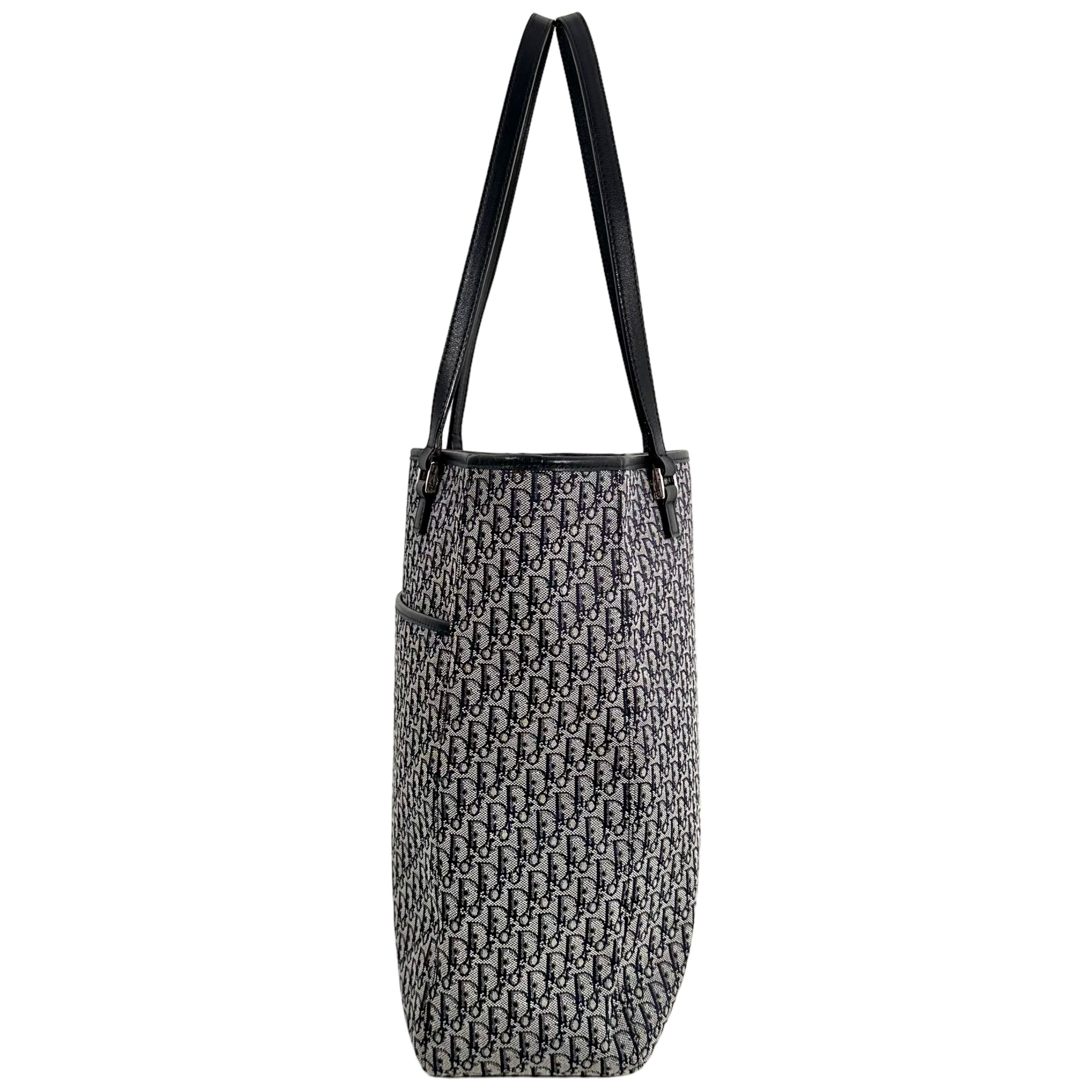 Small Trotter Canvas Tote