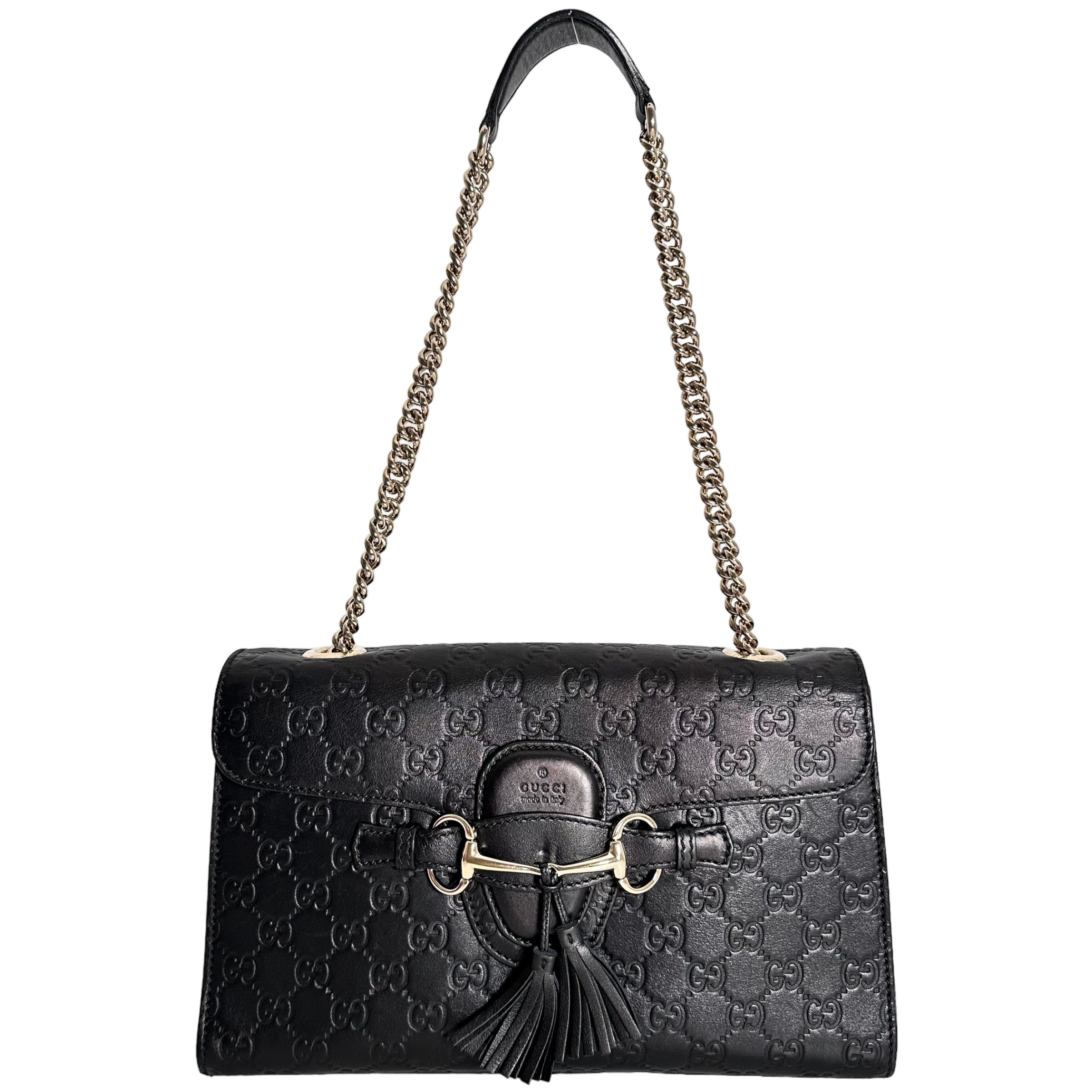 Emily Guccisima Chain Bag