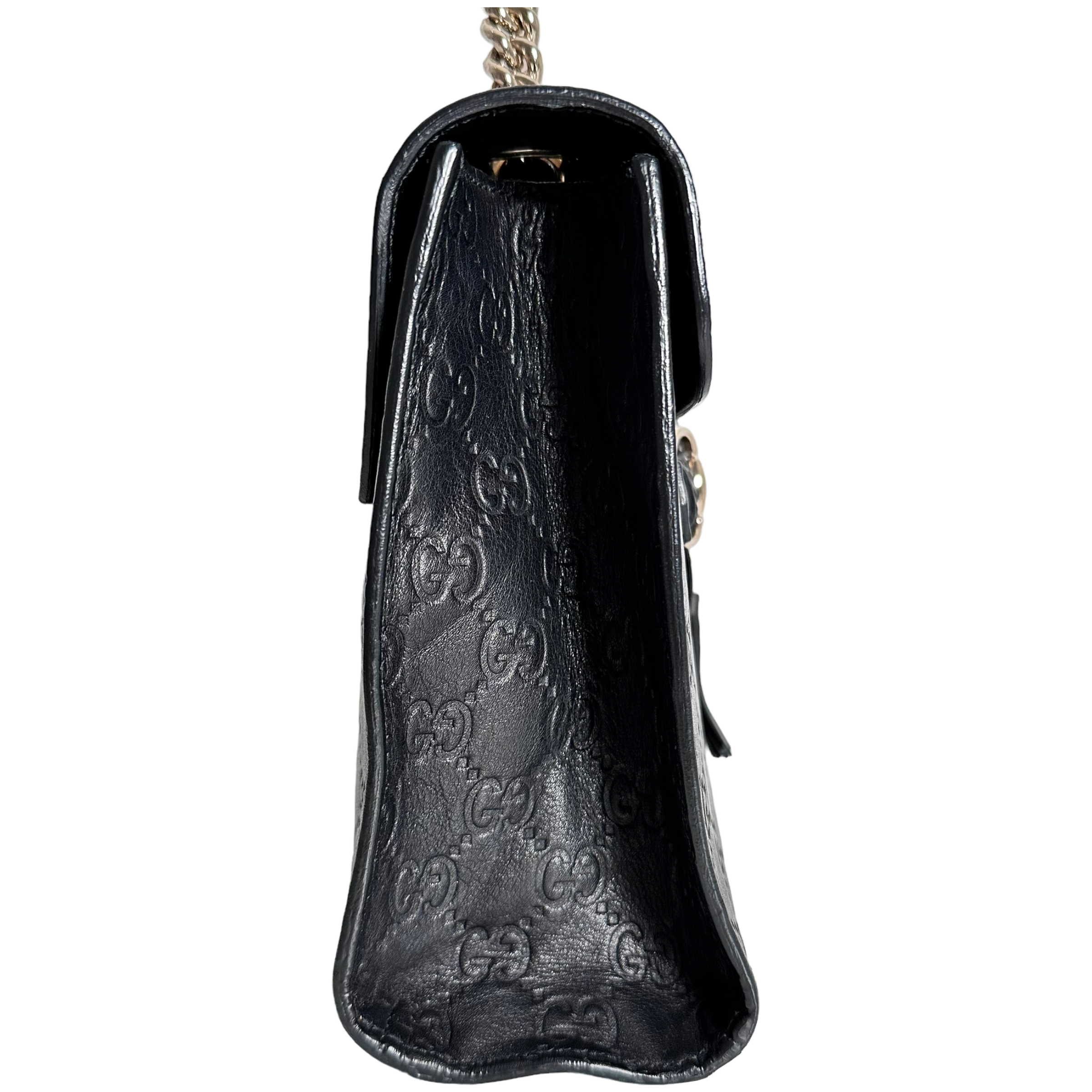 Emily Guccisima Chain Bag