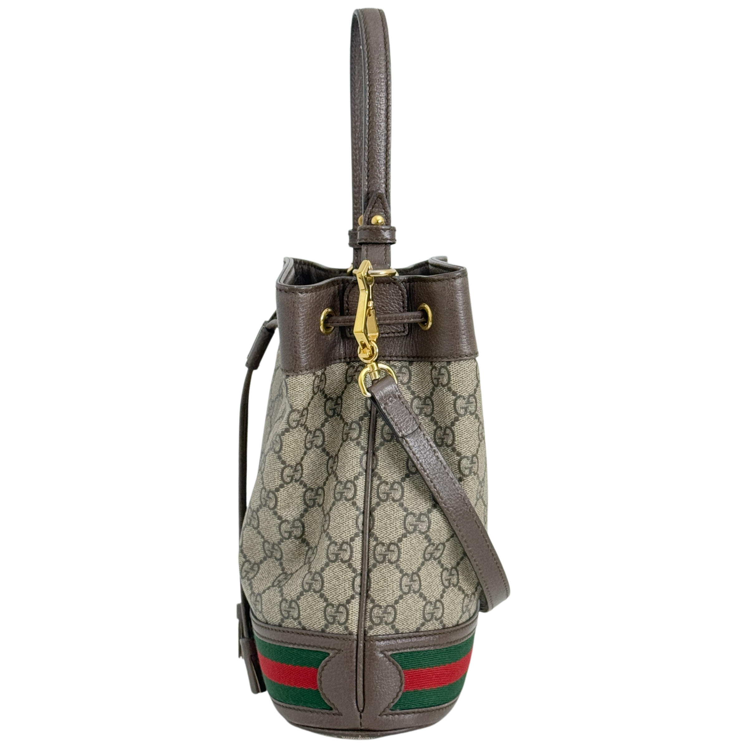 Small Ophidia Bucket Bag