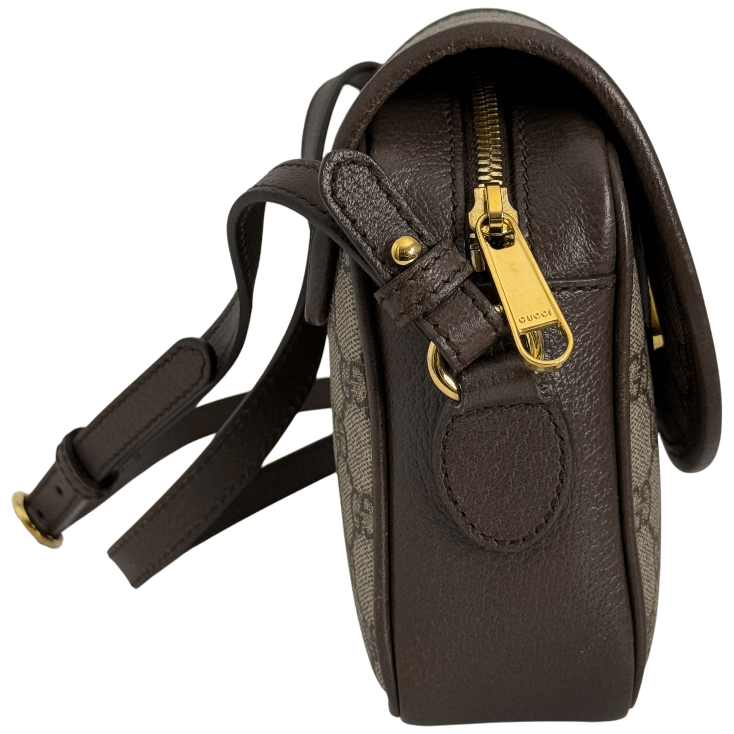 Small Ophidia Shoulder Bag