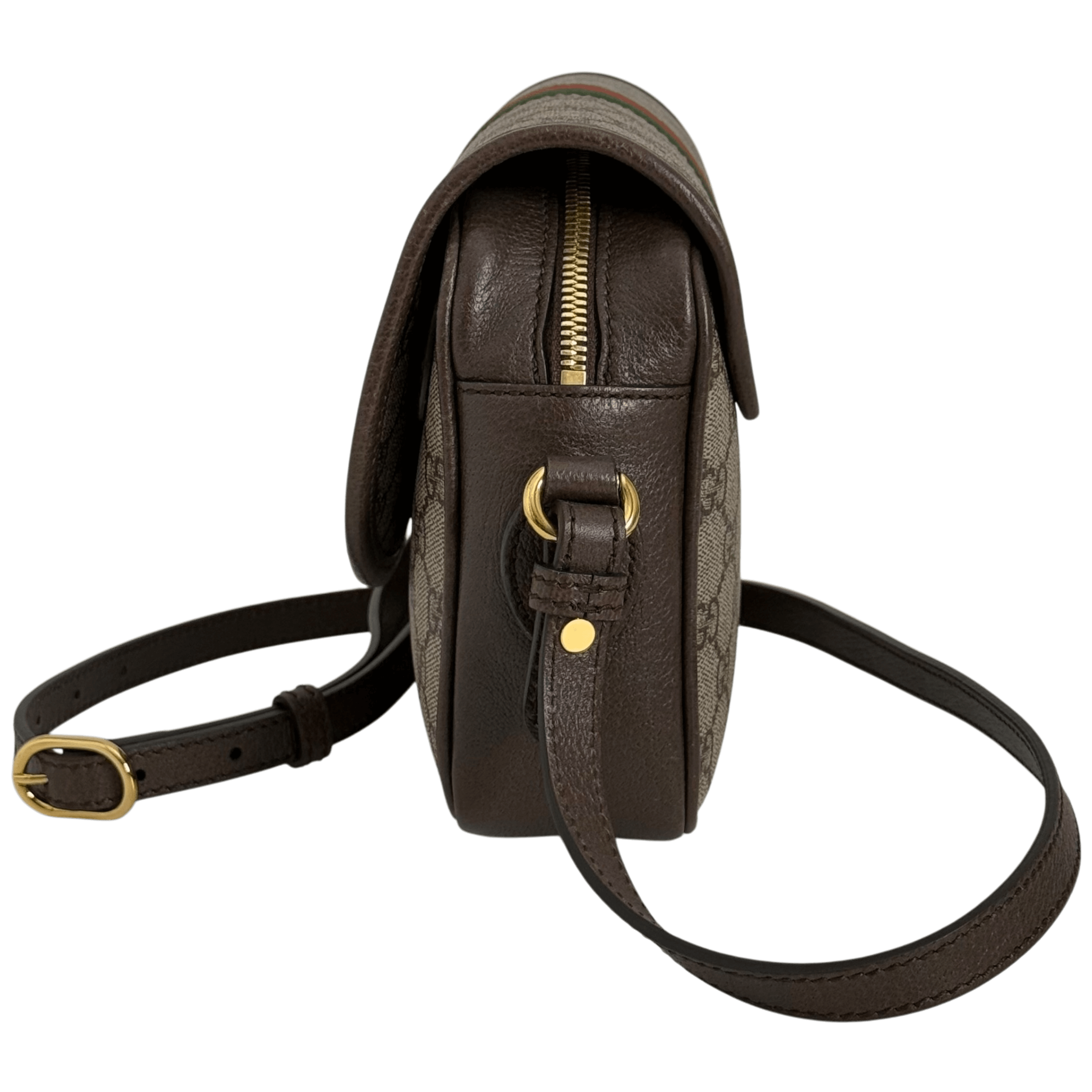 Small Ophidia Shoulder Bag
