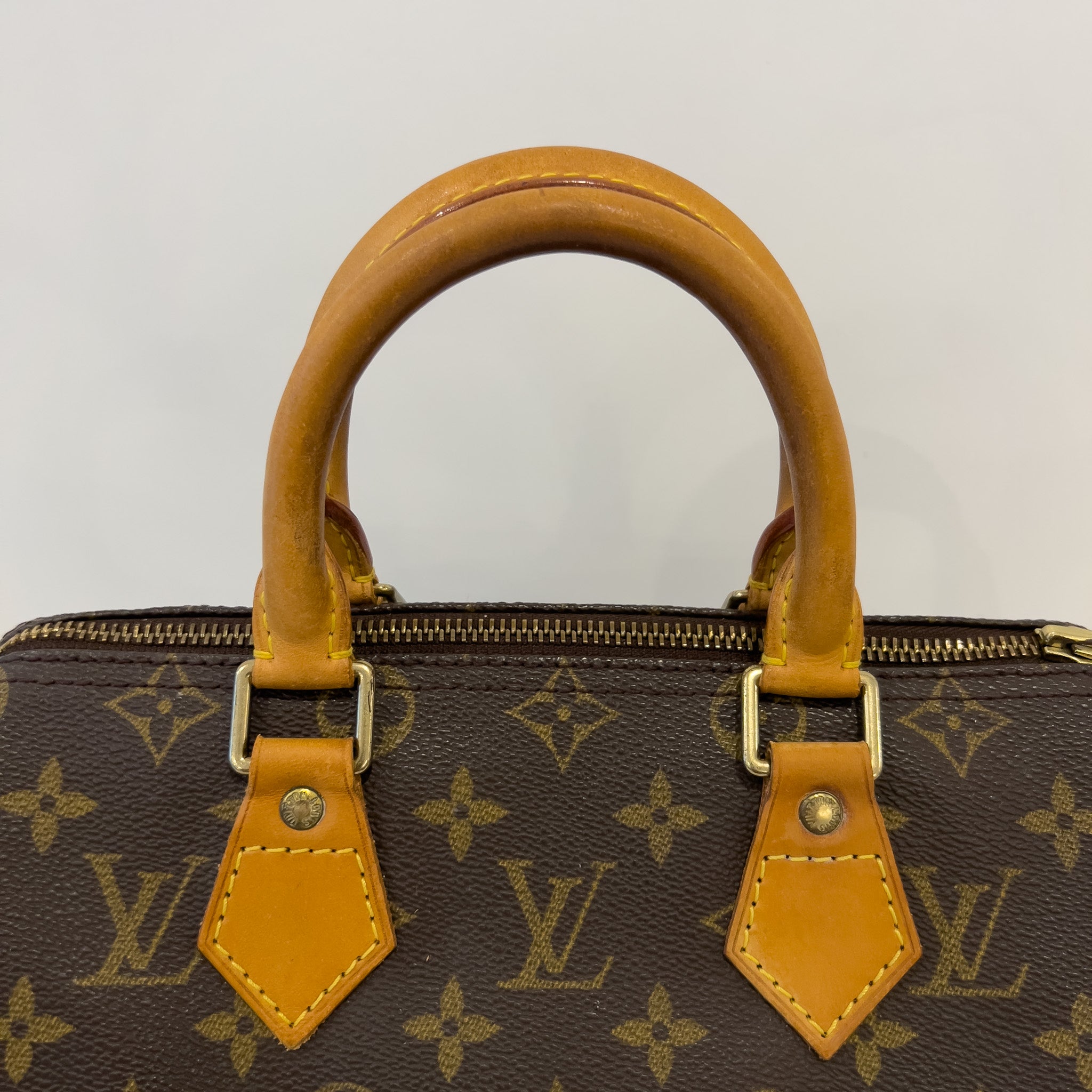 Speedy 25 Monogram Canvas