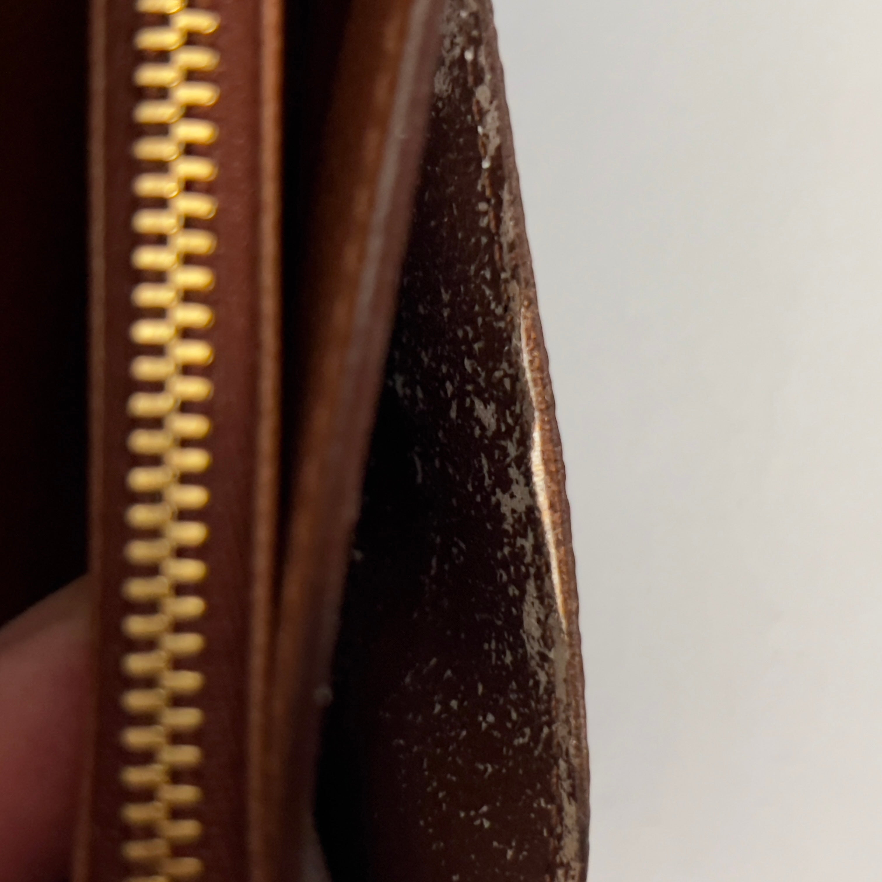 Monogram Money Wallet with Chain