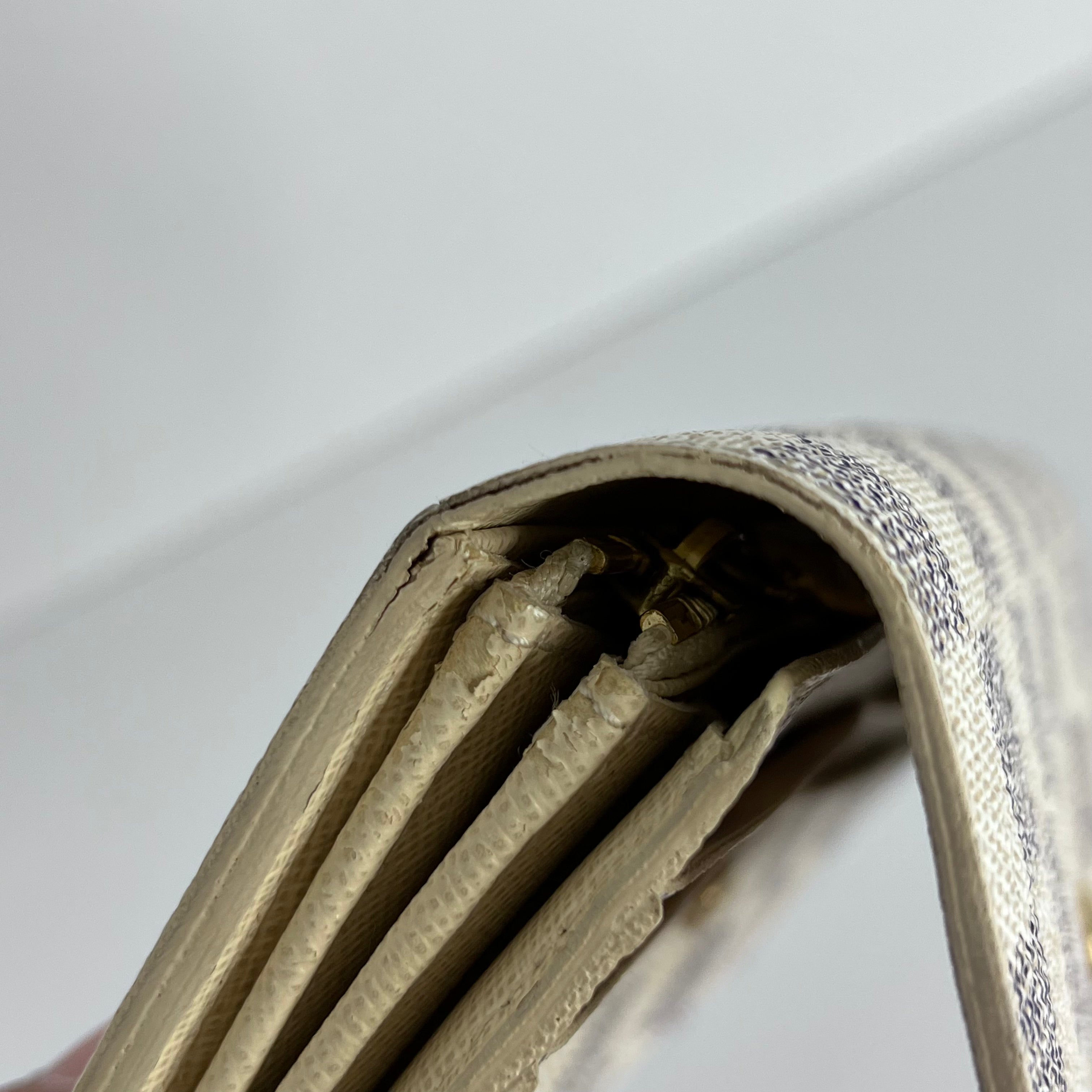 Damier Azur Long Wallet with Chain