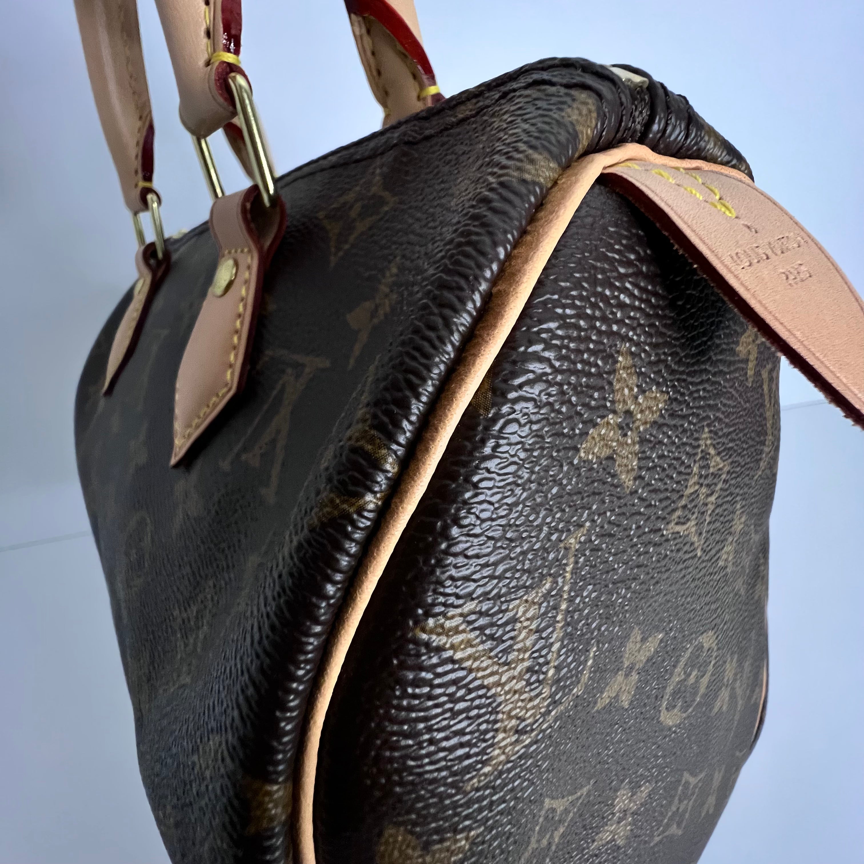 2022 - Monogram Speedy 25