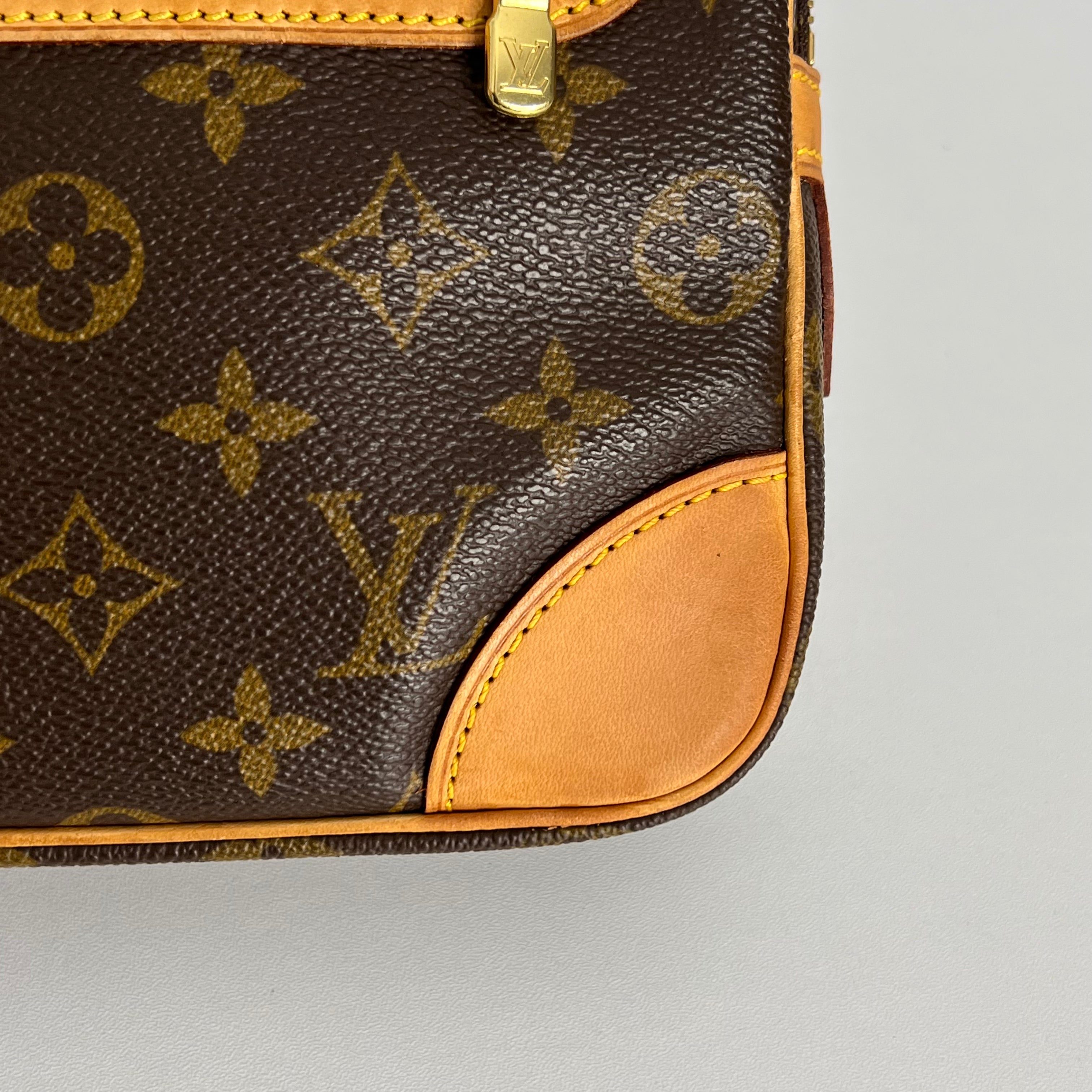 Monogram Marly Dragonne