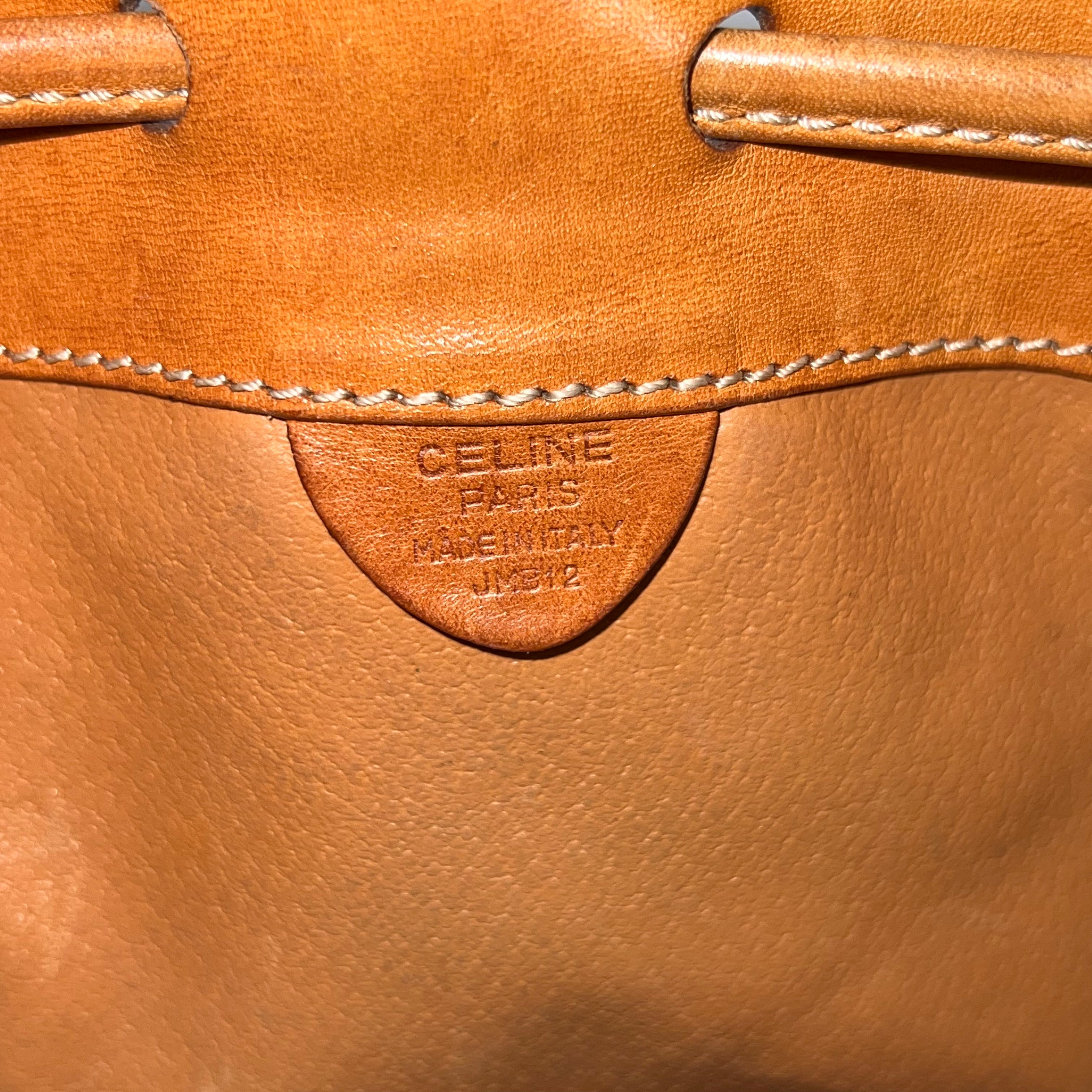 Vintage Triomphe Bucket Bag