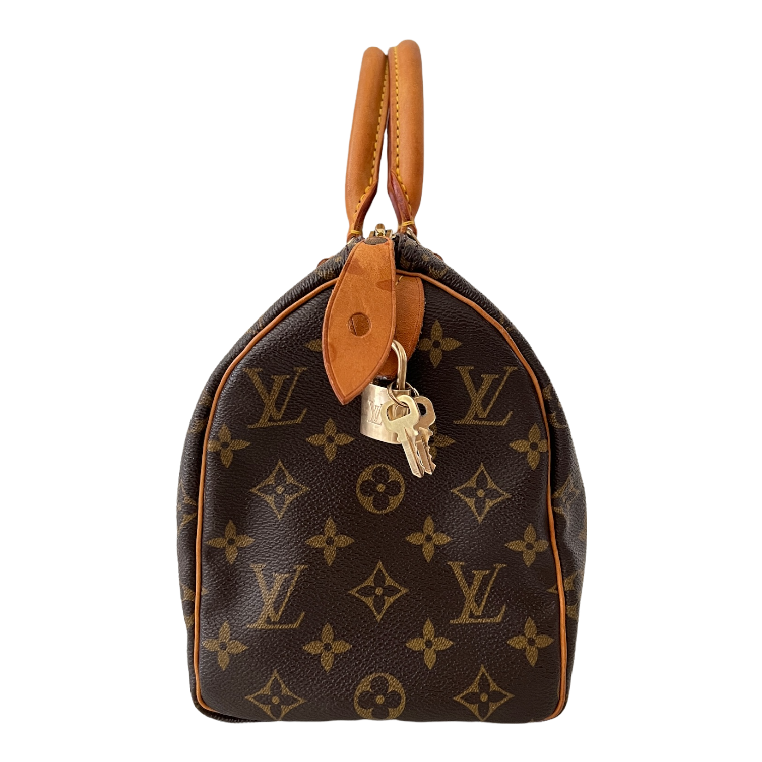 Speedy 25 Monogram Canvas
