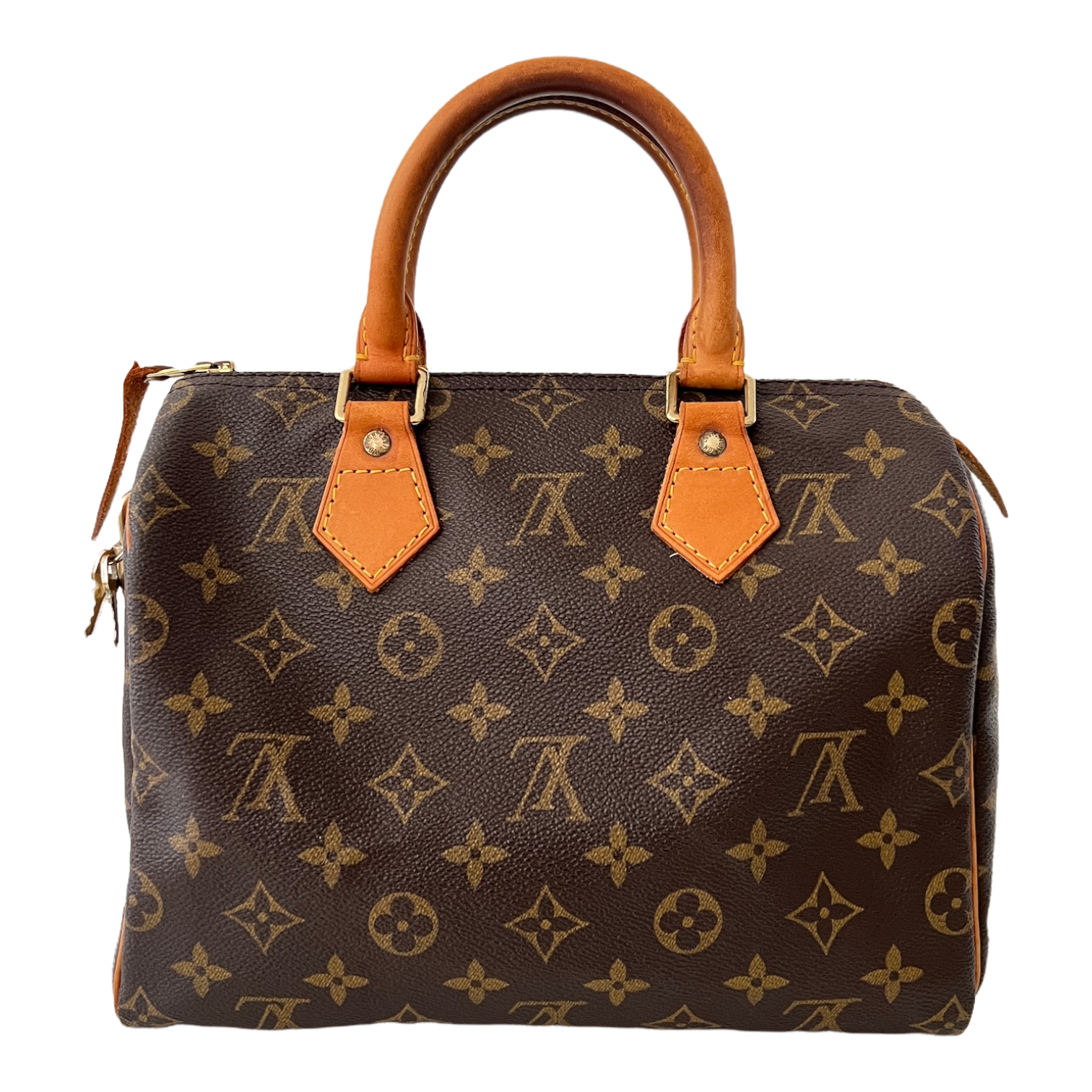 Speedy 25 Monogram Canvas