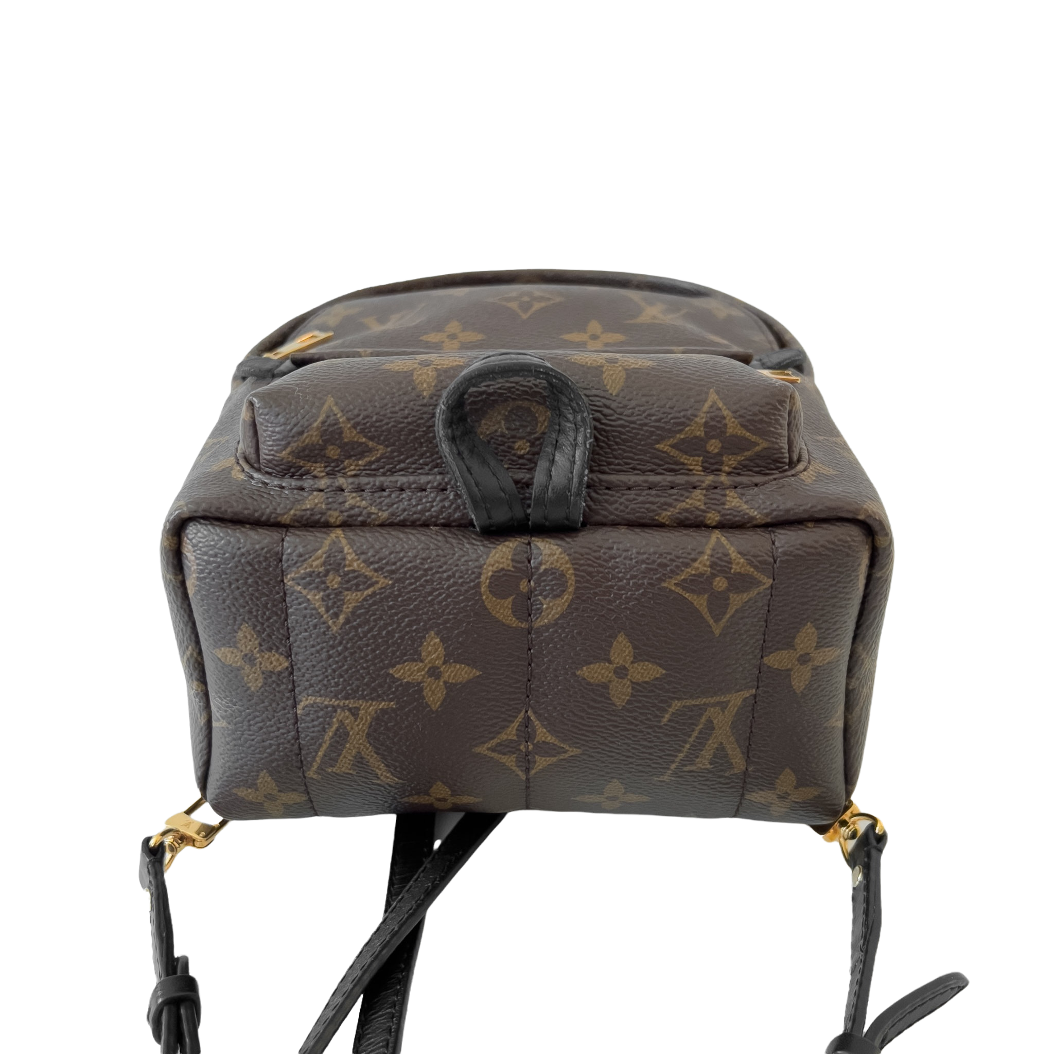 Monogram Palm Spring Mini