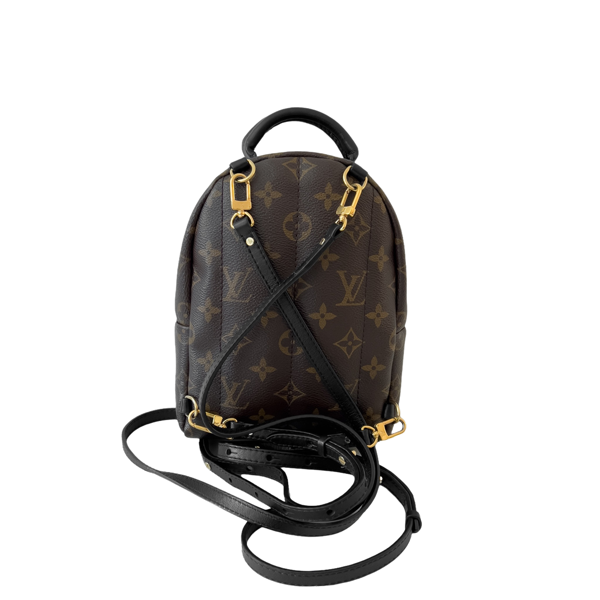 Monogram Palm Spring Mini