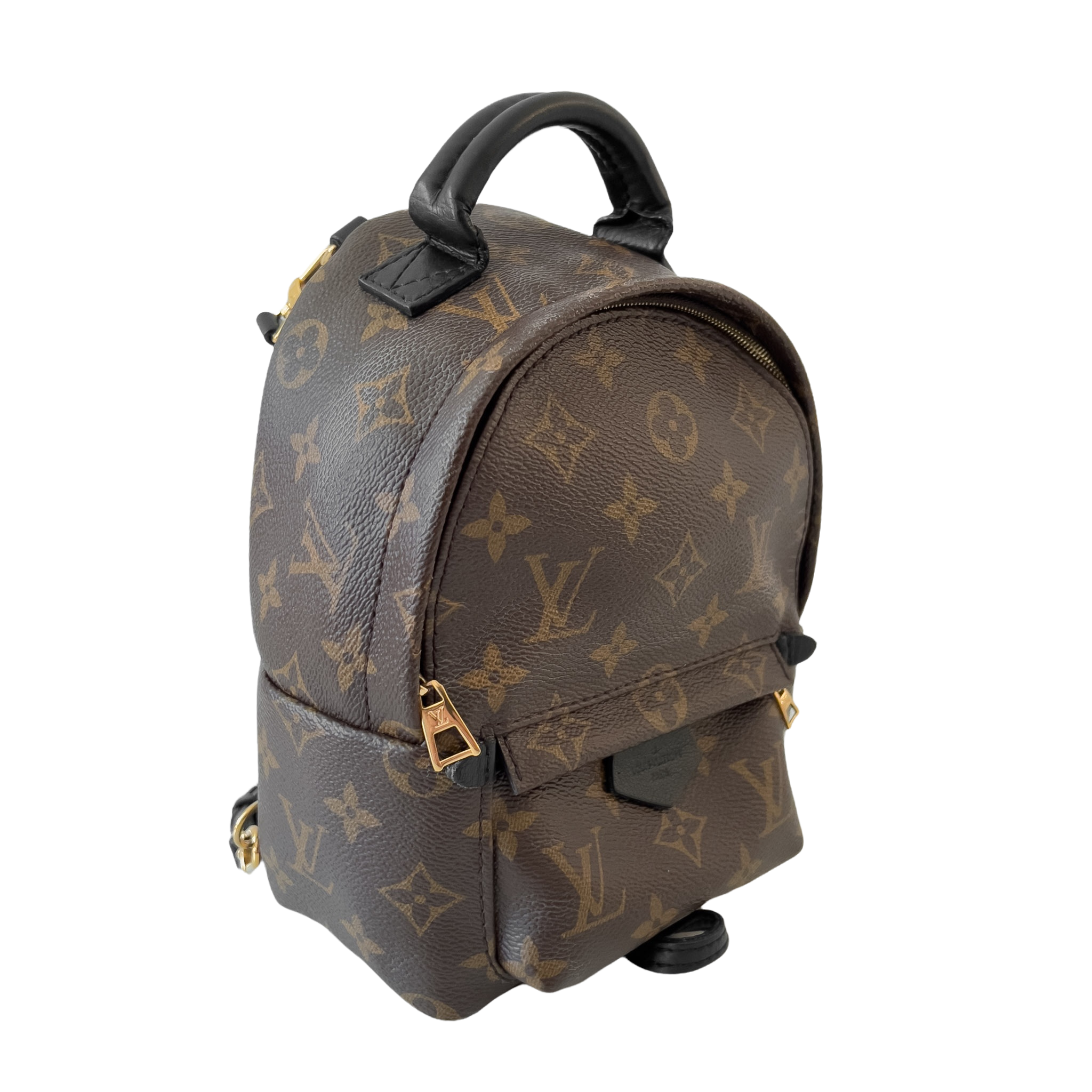 Monogram Palm Spring Mini