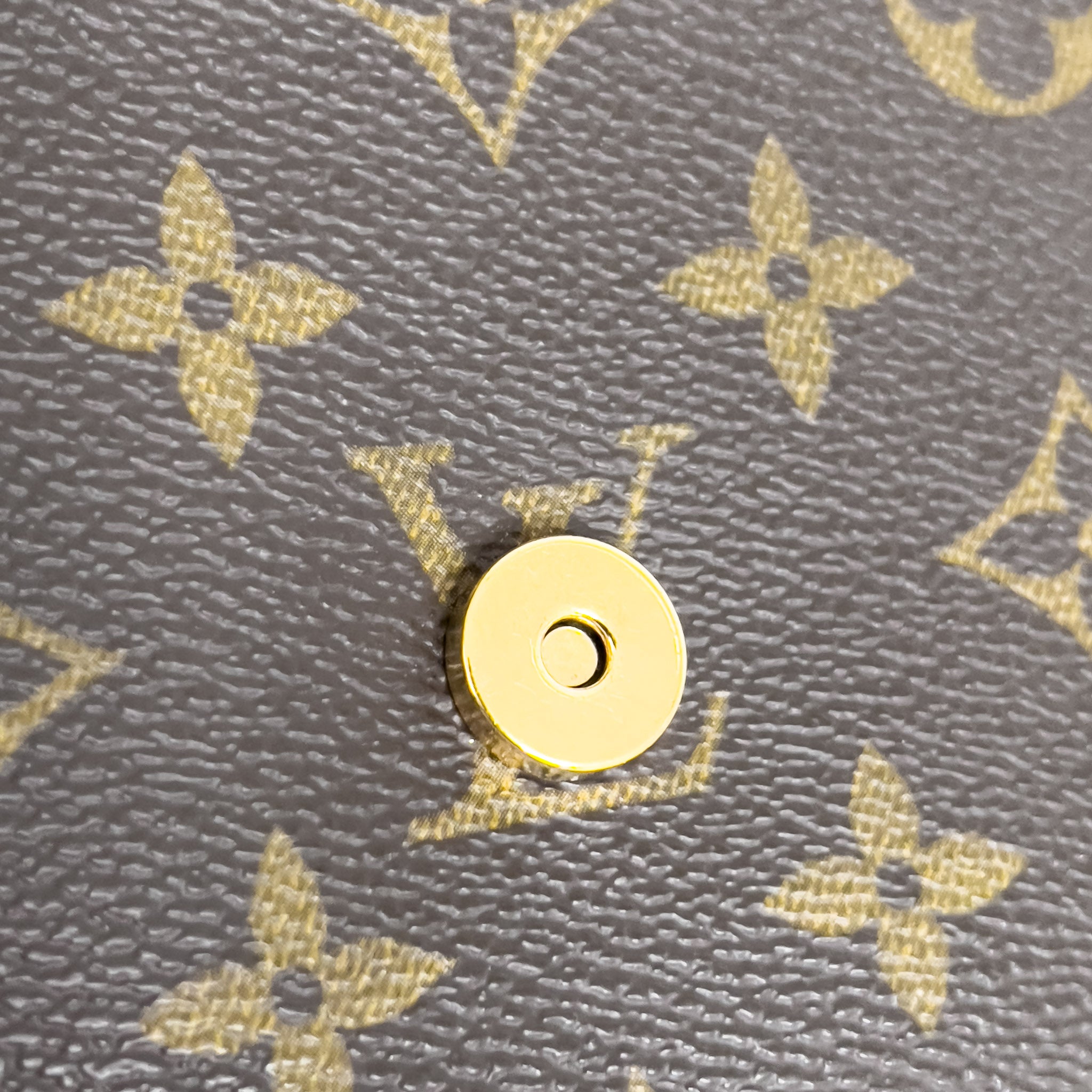 Monogram Pochette Twin GM