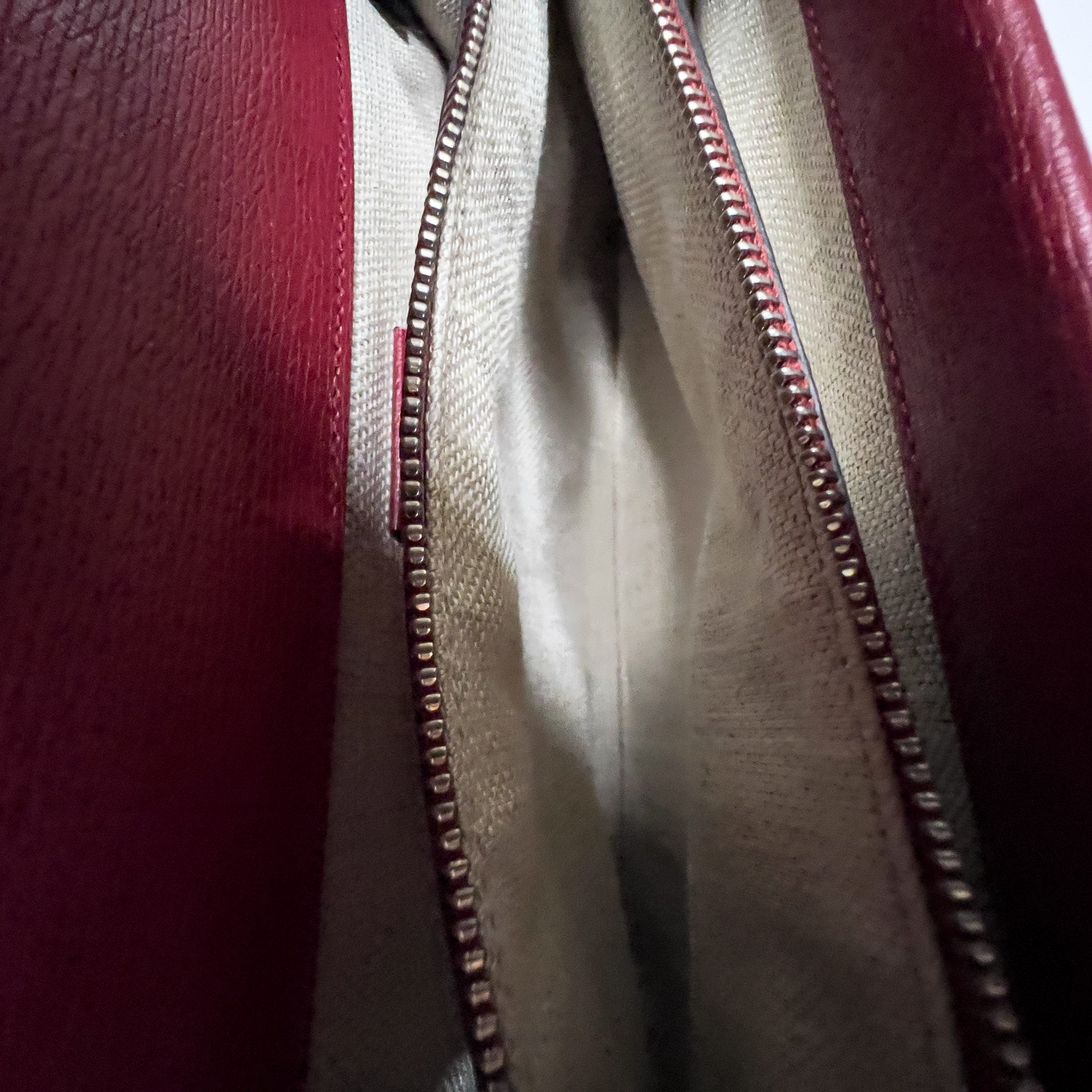 Medium Dionysus Bloom