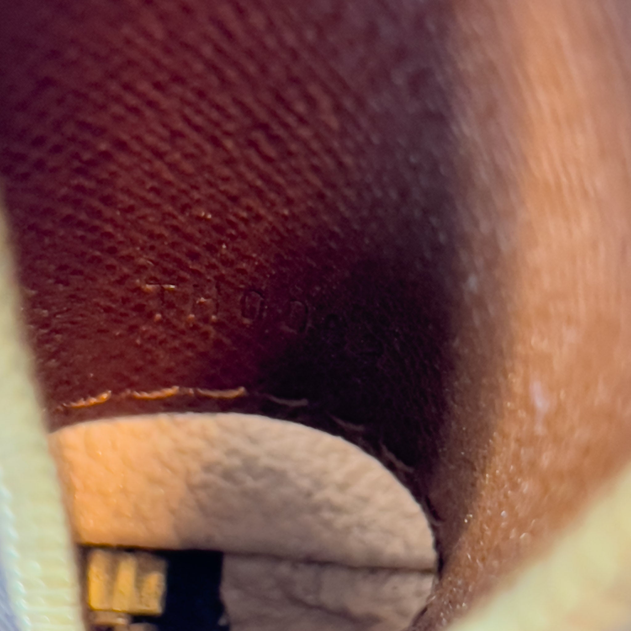 Monogram Pochette Eva