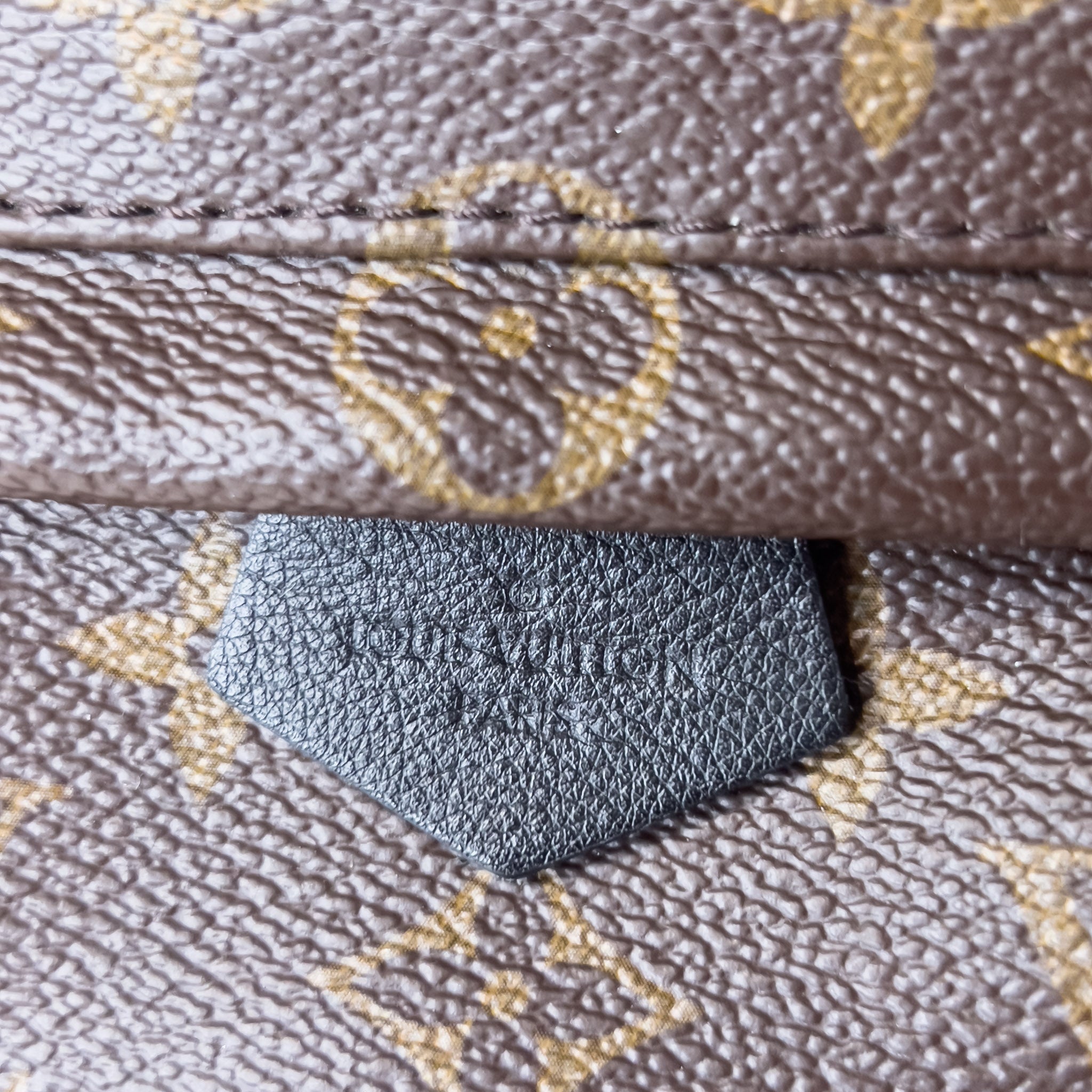 Monogram Palm Spring Mini