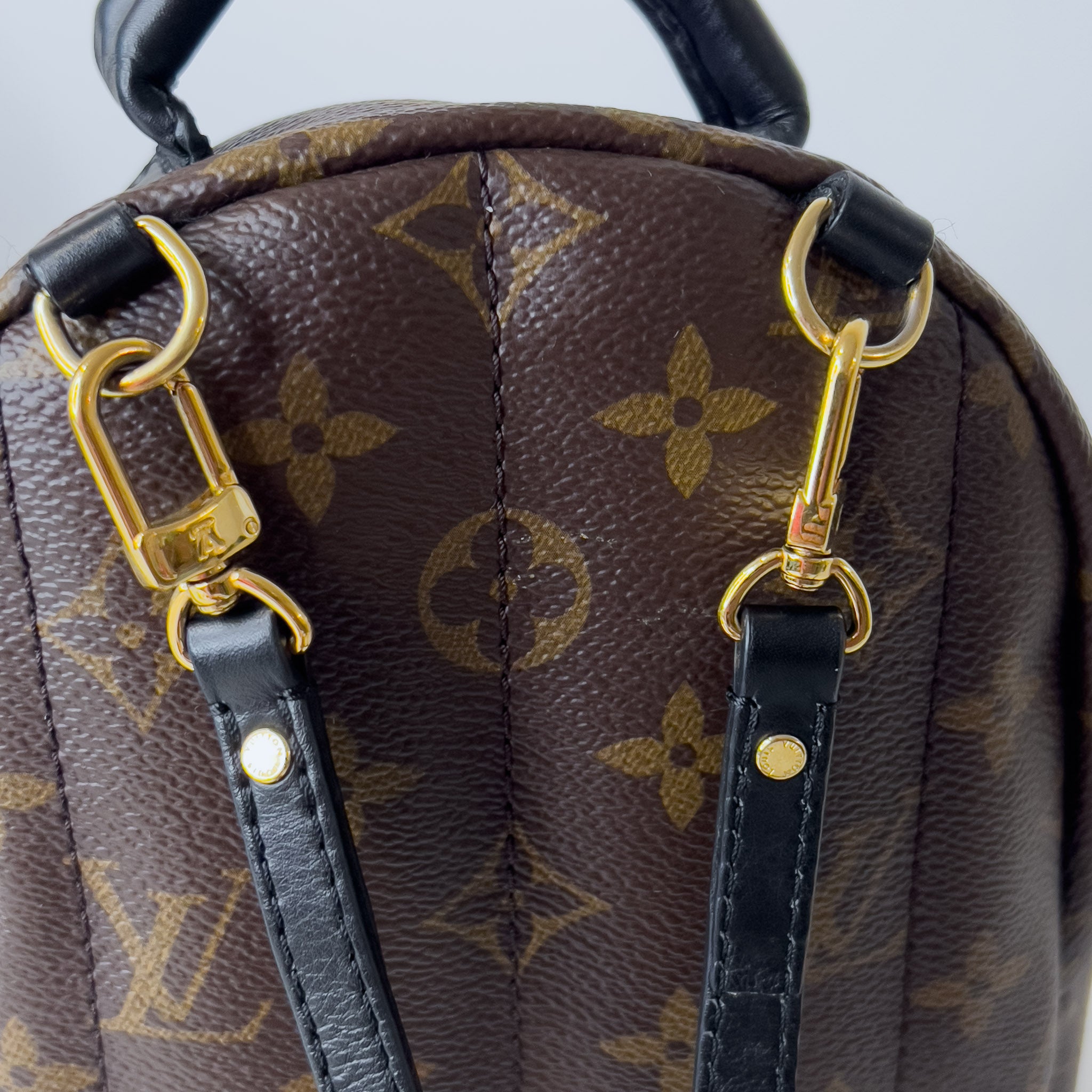 Monogram Palm Spring Mini