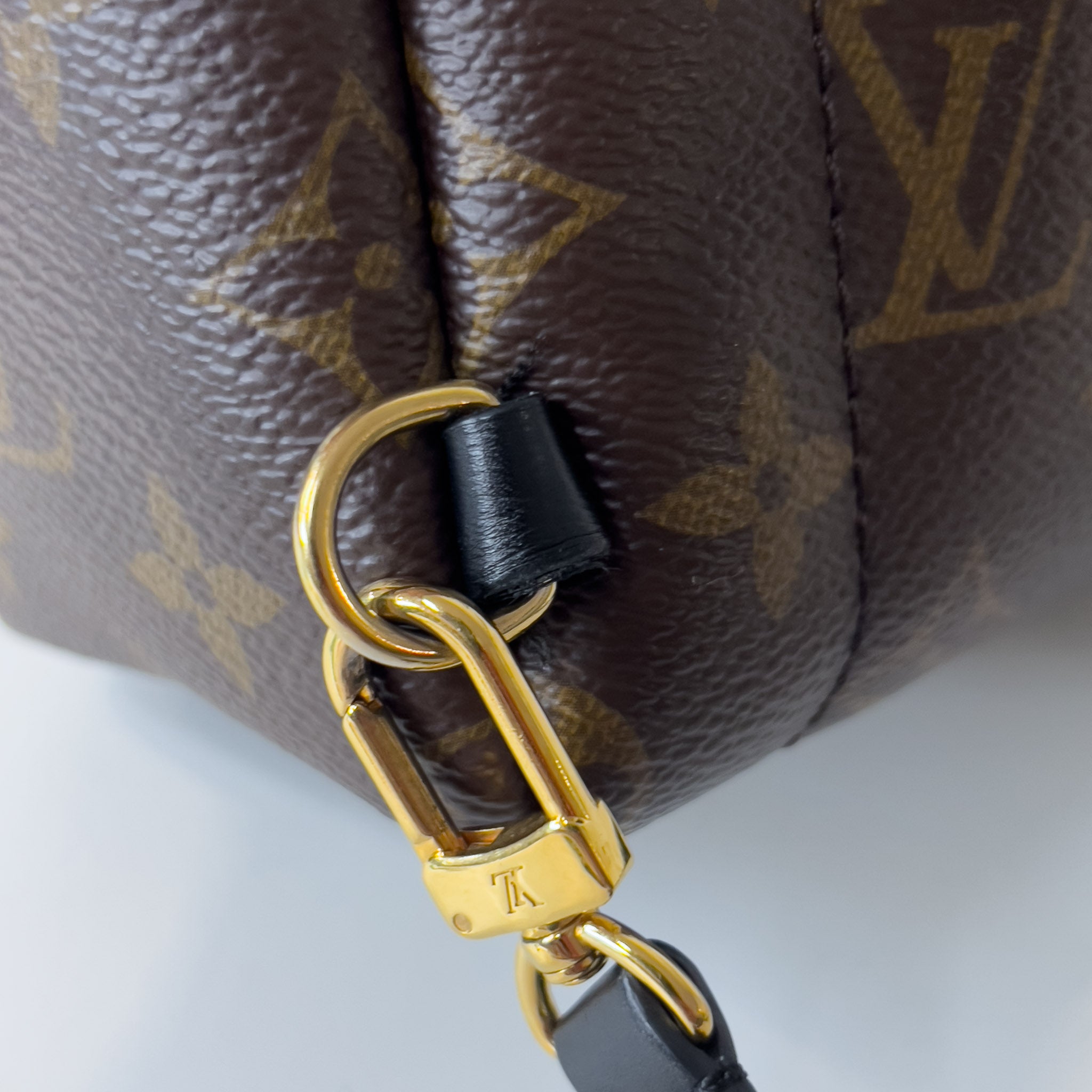 Monogram Palm Spring Mini