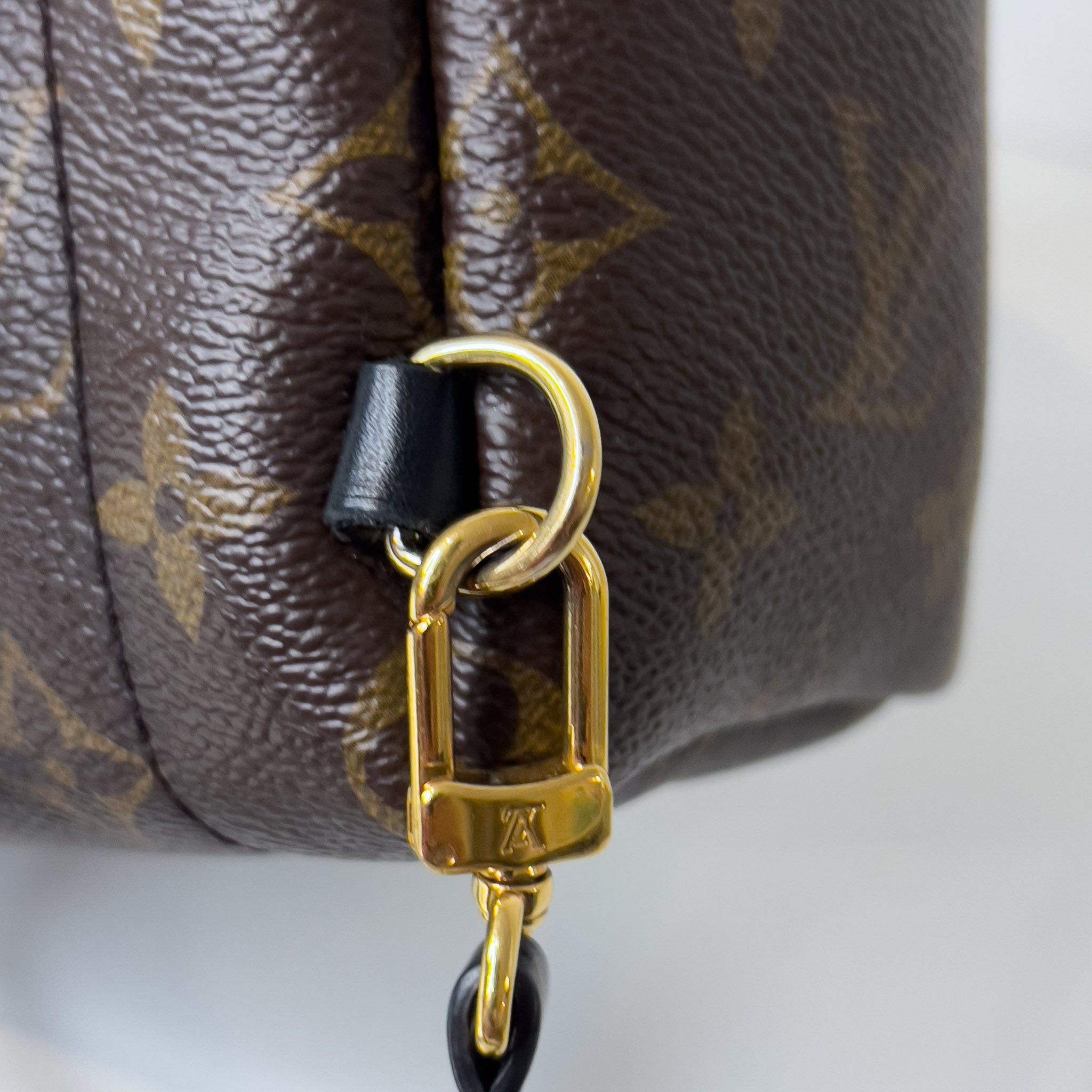 Monogram Palm Spring Mini