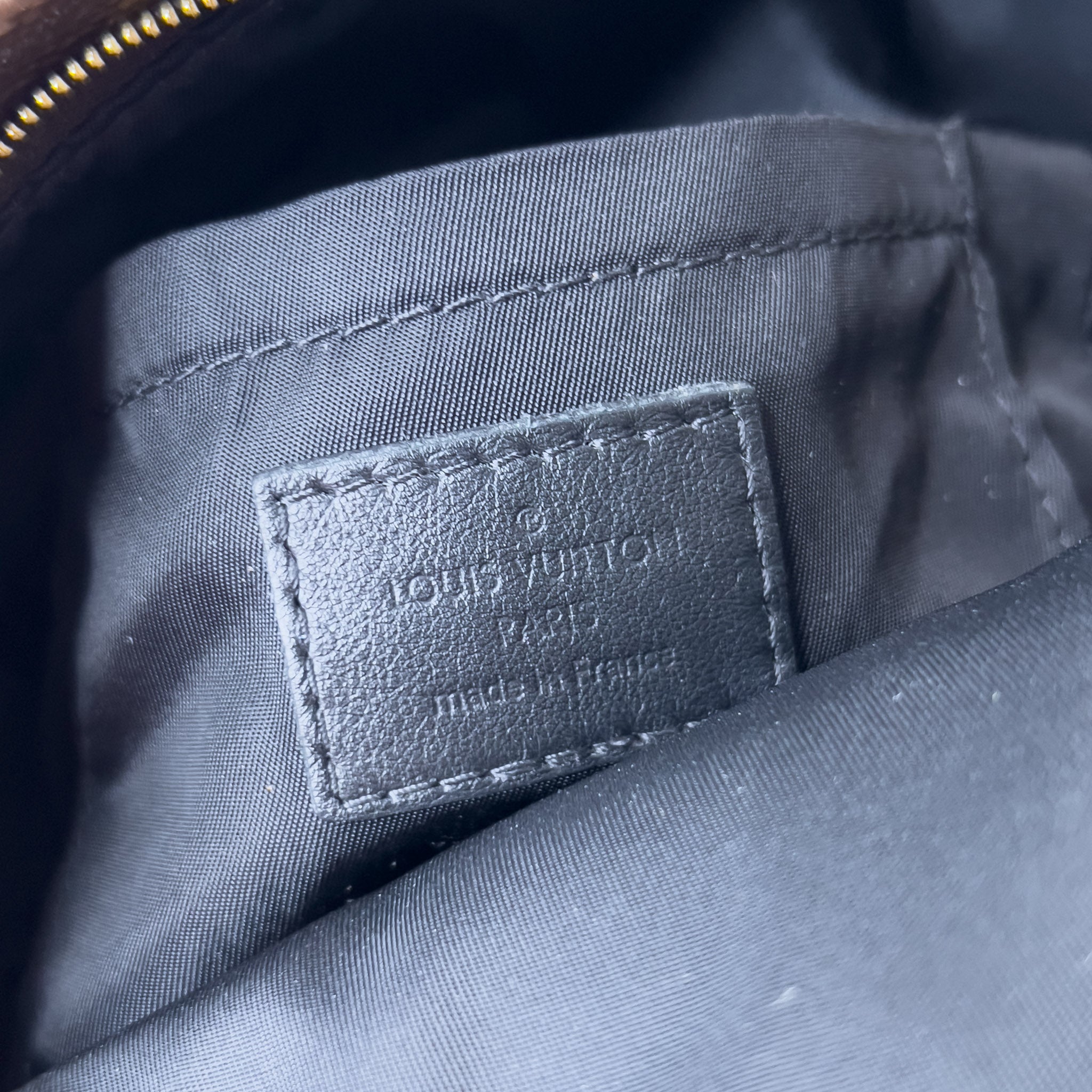 Monogram Palm Spring Mini