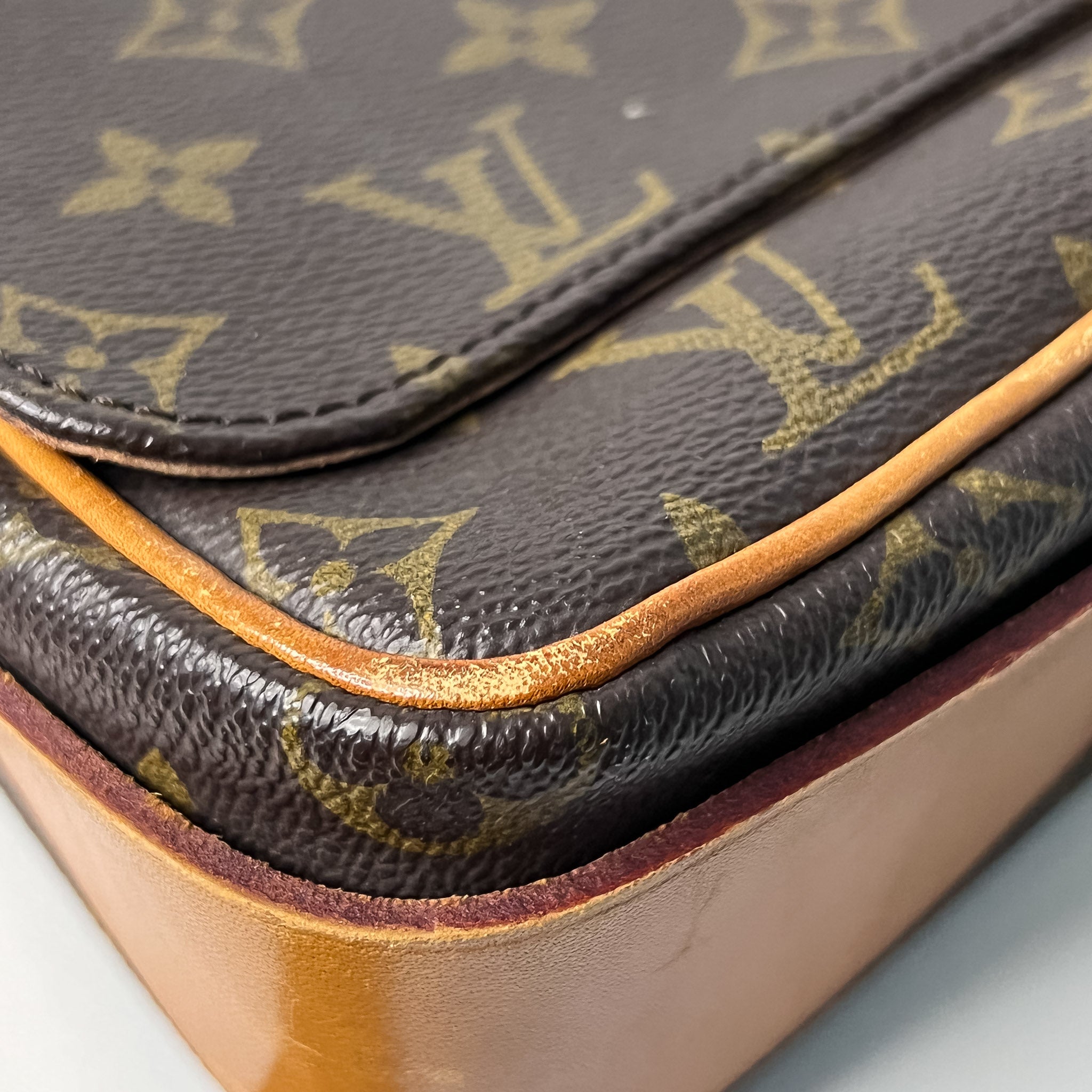 Monogram Cartouchiere GM