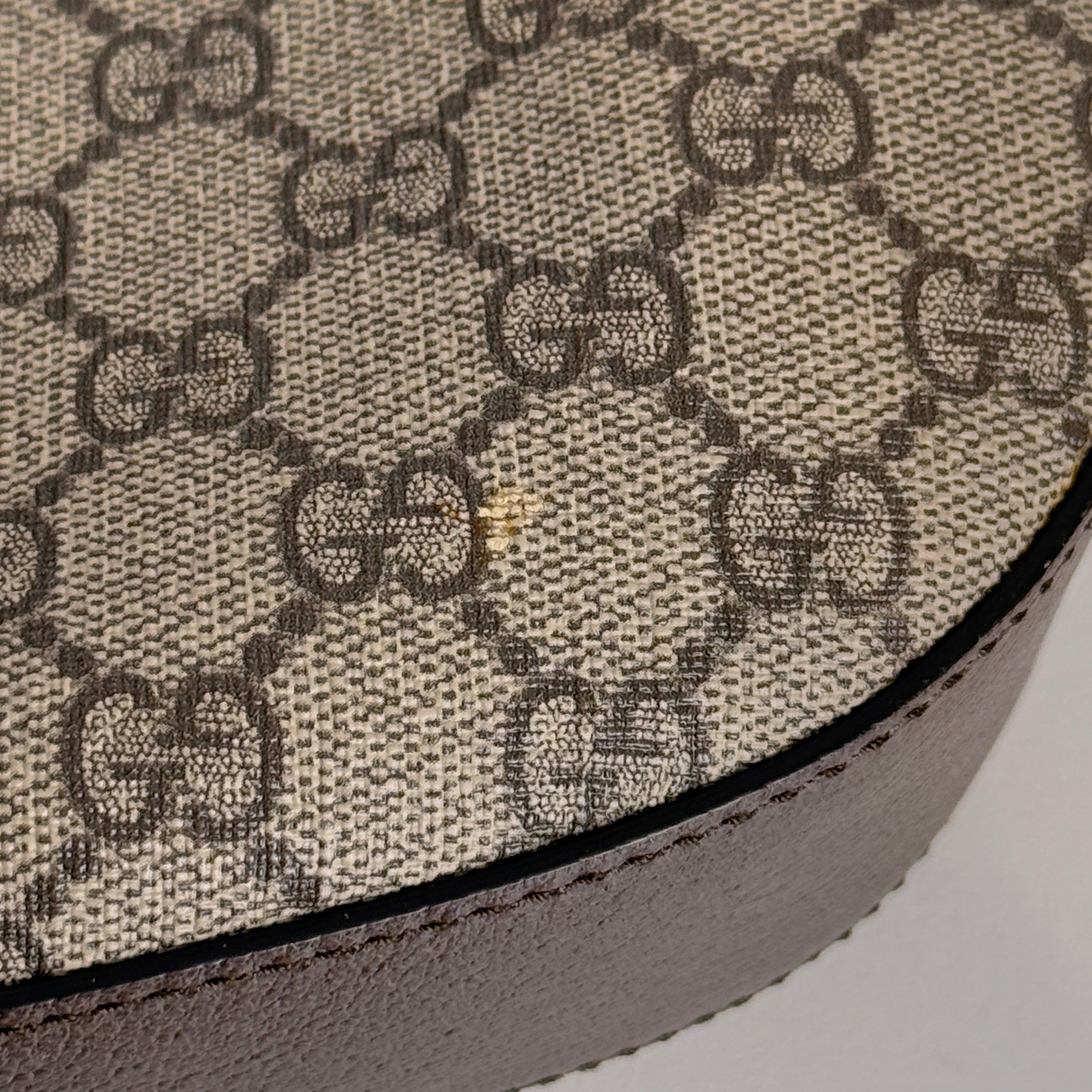 Dionysus Hobo Bag