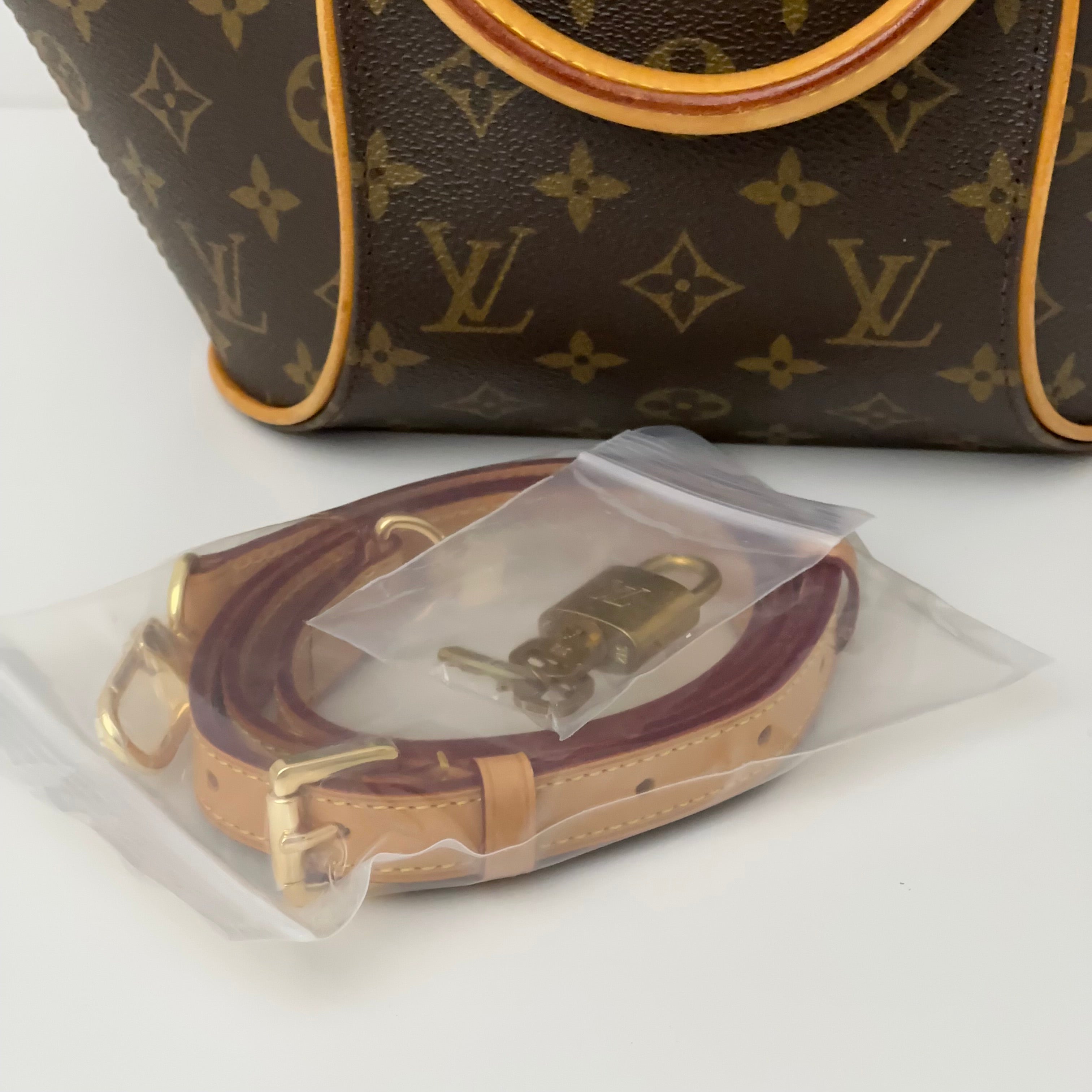 Louis Vuitton Ellipse PM