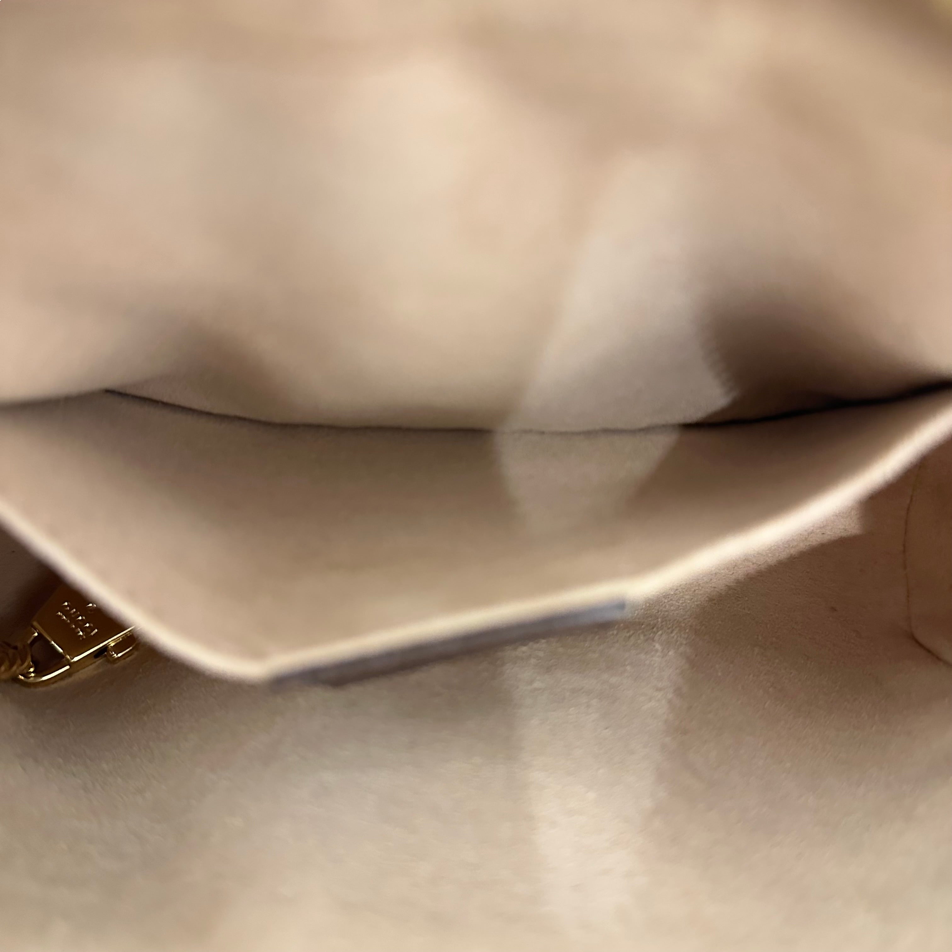 Ophidia Mini Shoulder Bag