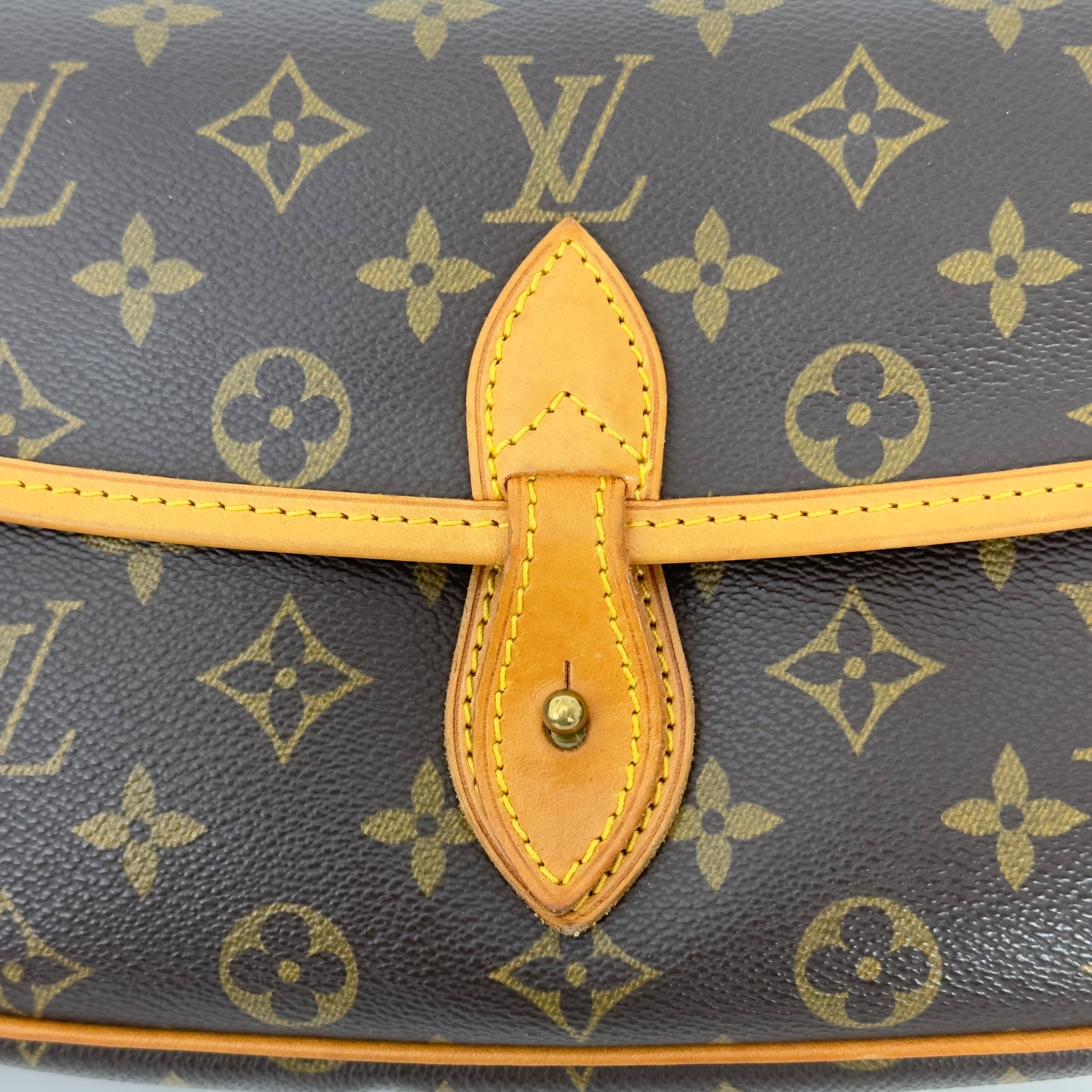 Monogram Gibeciere PM