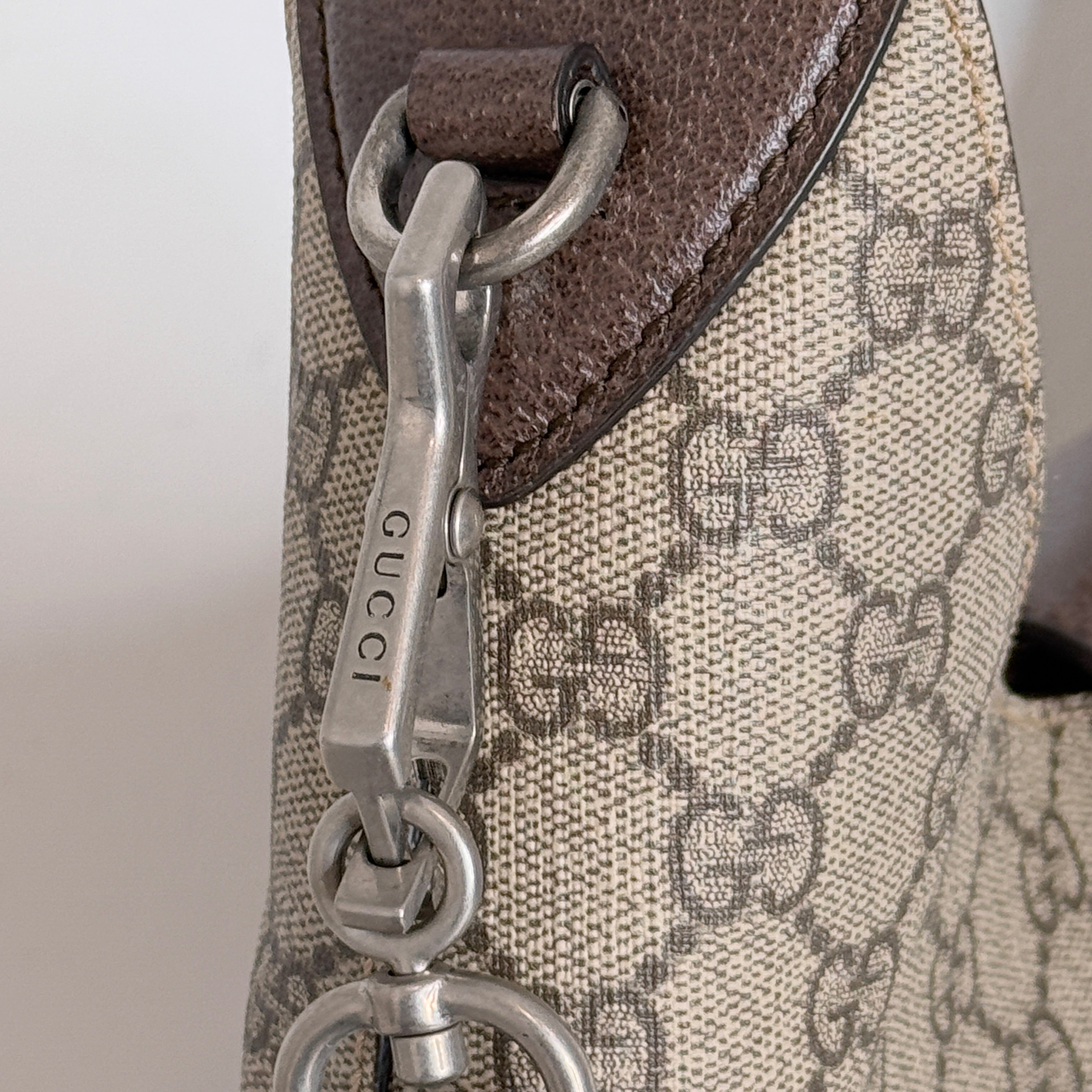Dionysus Hobo Bag