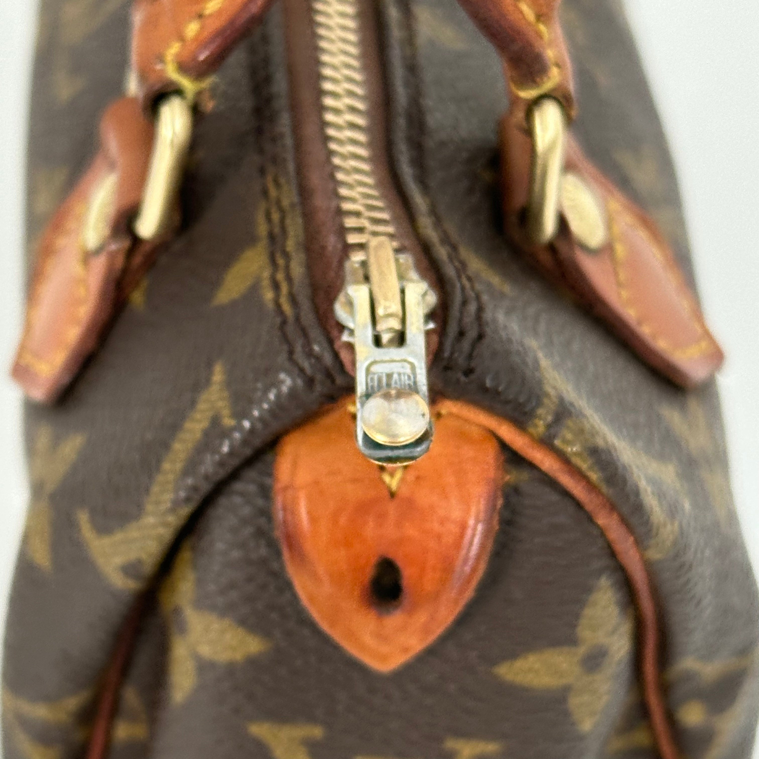 Vintage Monogram Nano Speedy