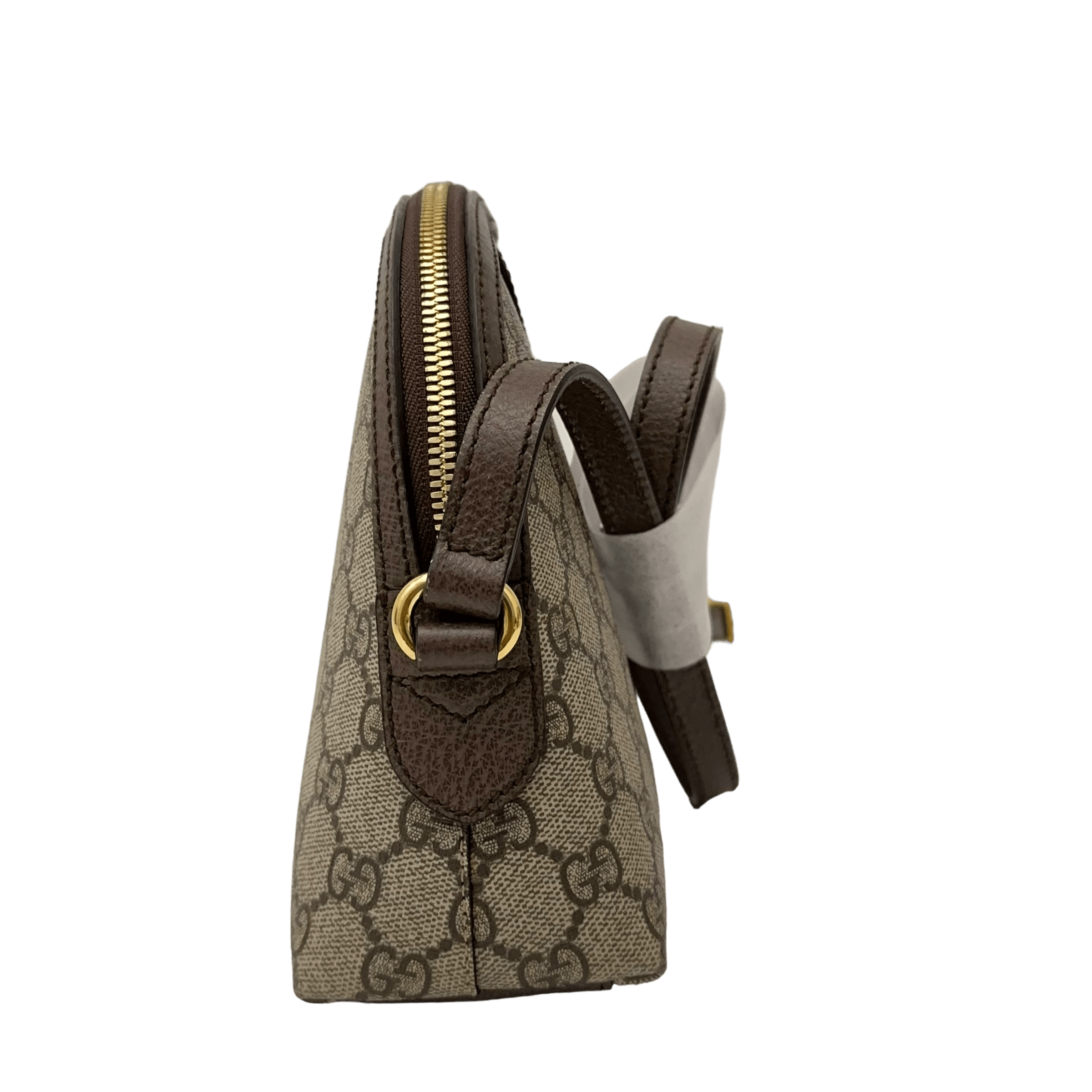 GG Ophidia Dome Bag